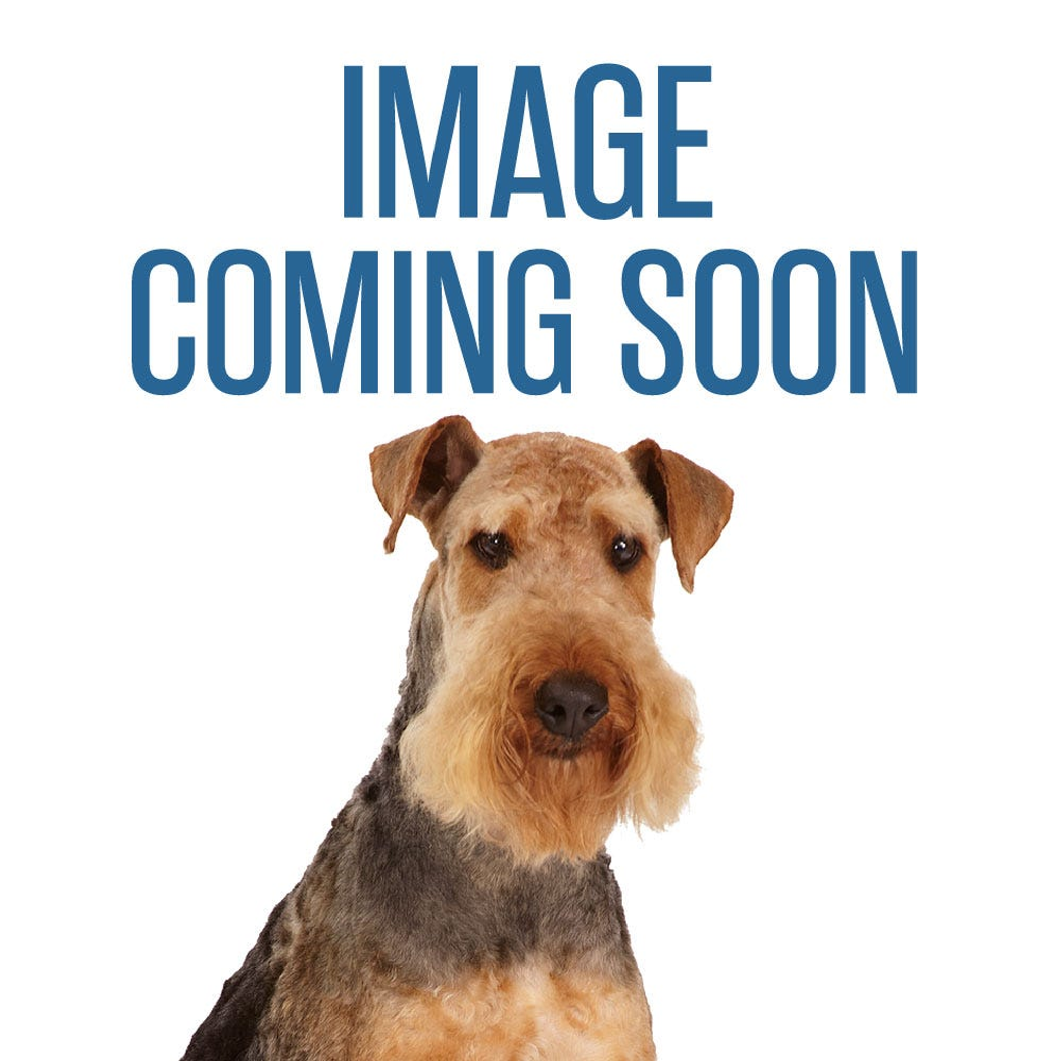 Lamb Chop 6 in Image 1