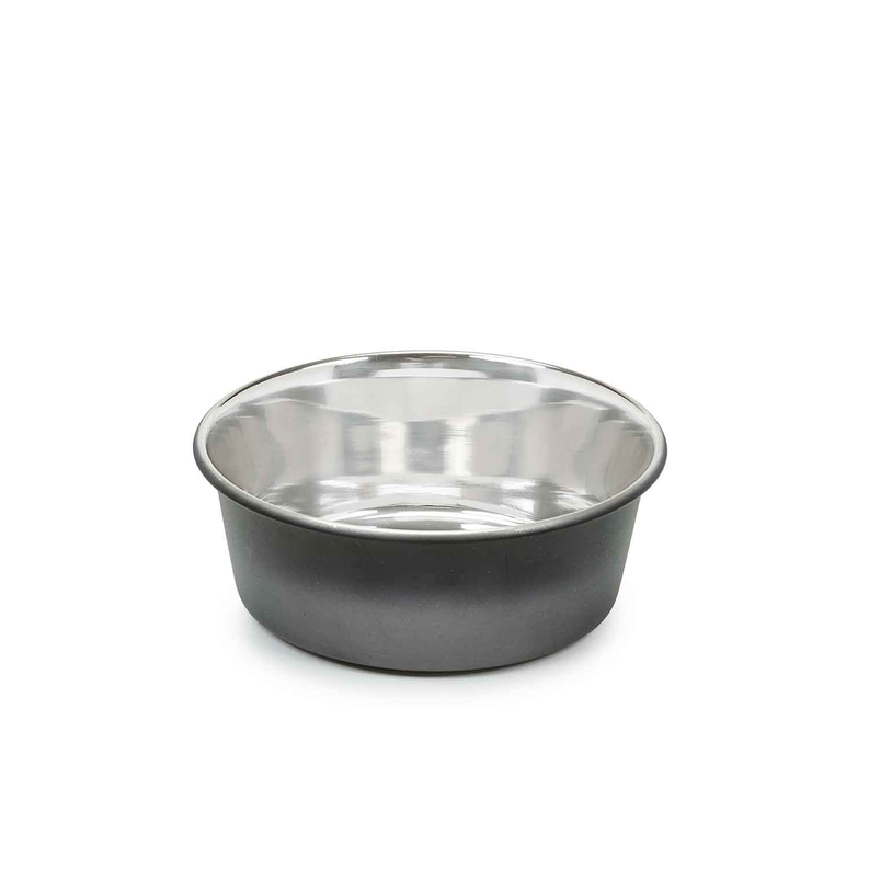 PS Stainless Steel Ombre Bowl Small Image 1