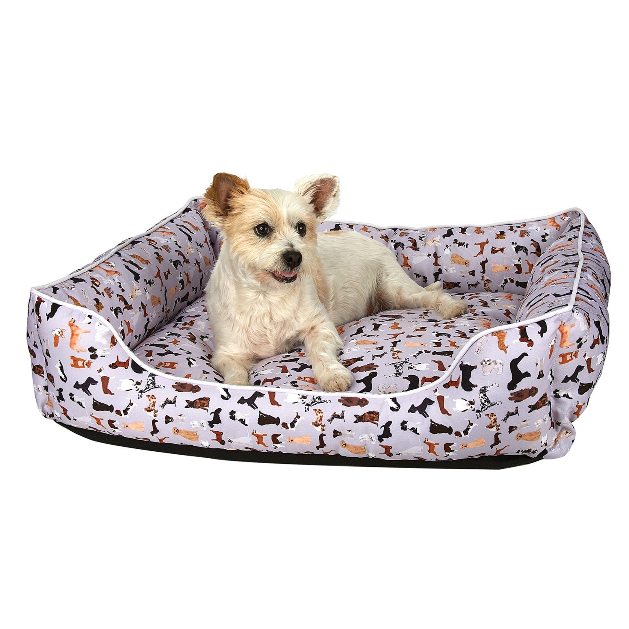 SP All Dogs Lounger Bed Image 1