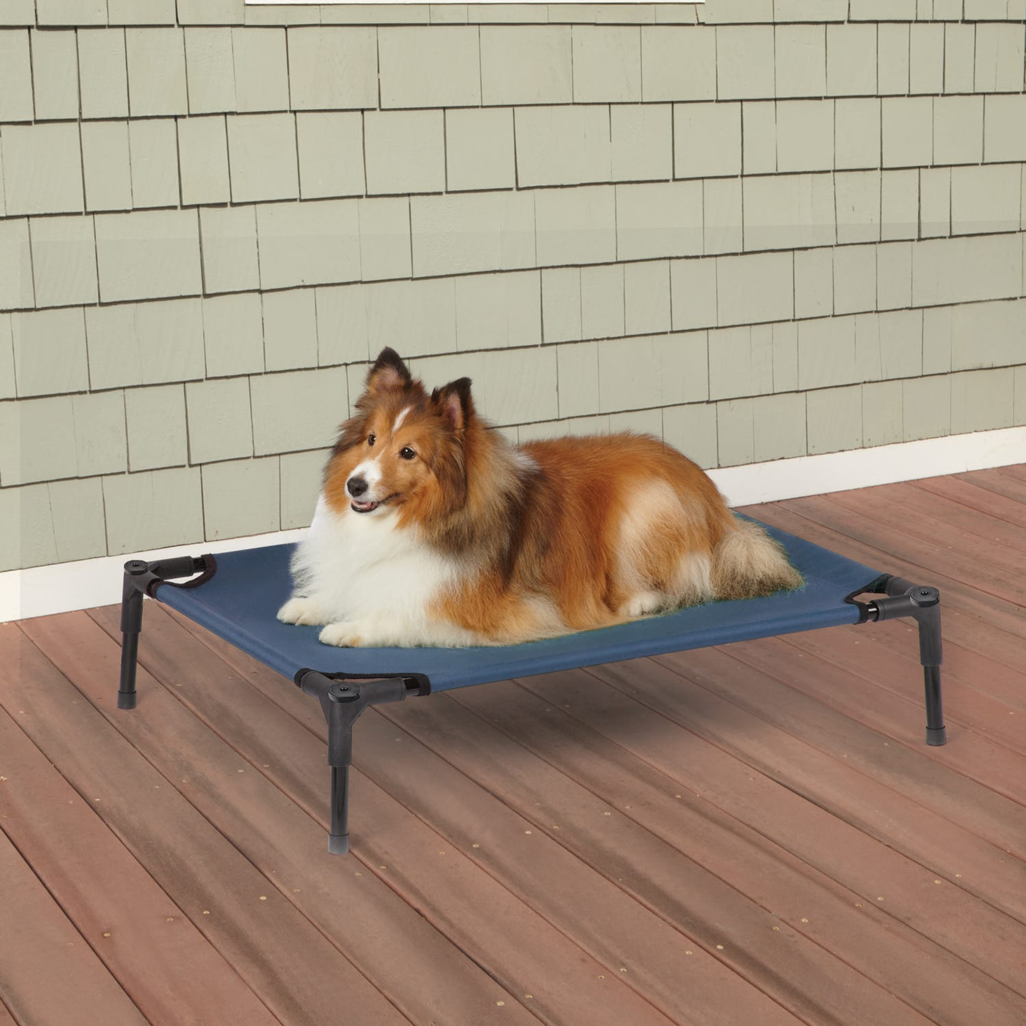 Guardian Gear Pet Cot Blue M Image 1