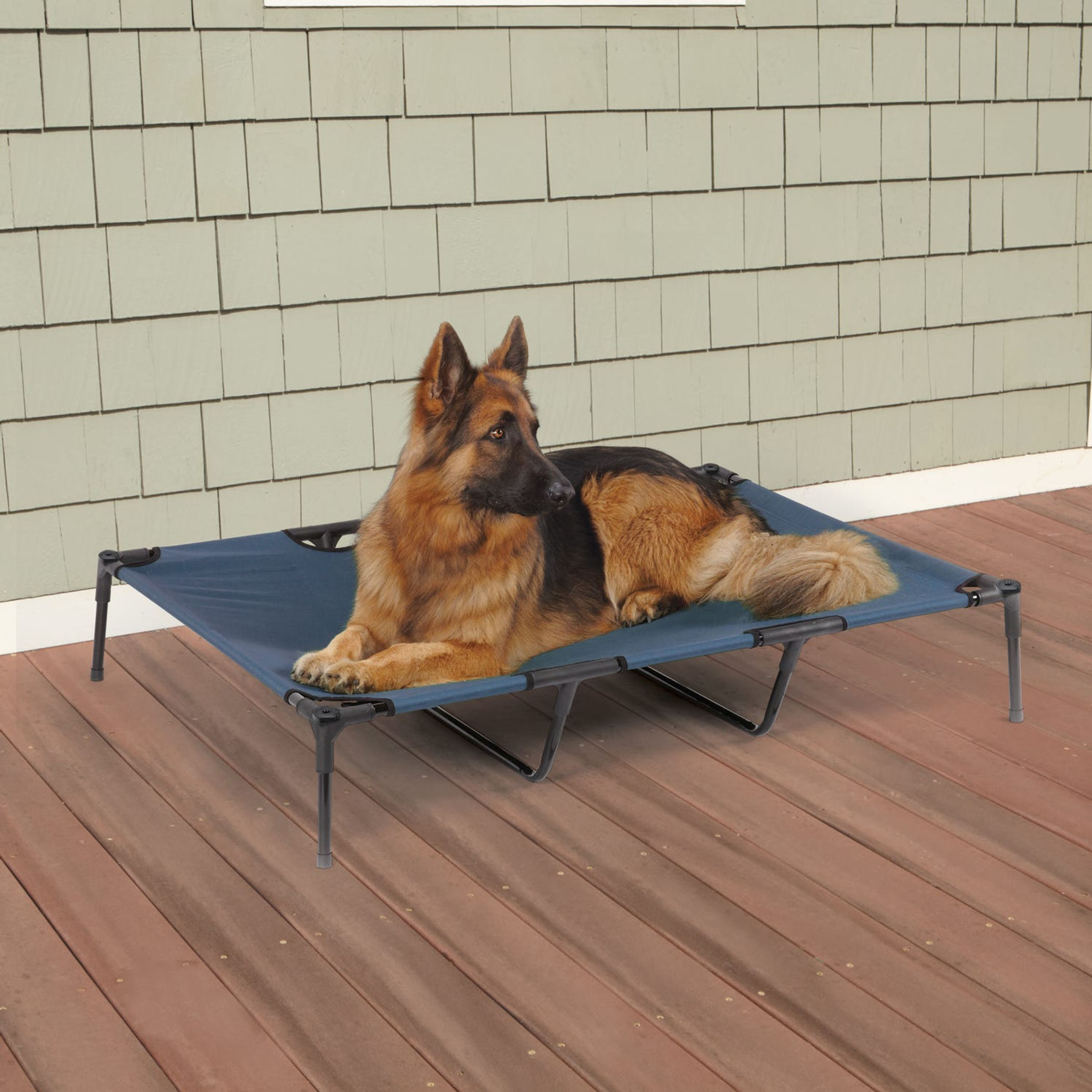 Guardian Gear Pet Cot Blue XL Image 1