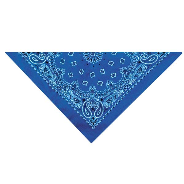 TP Paisley Bandana Dk Blu Image 1
