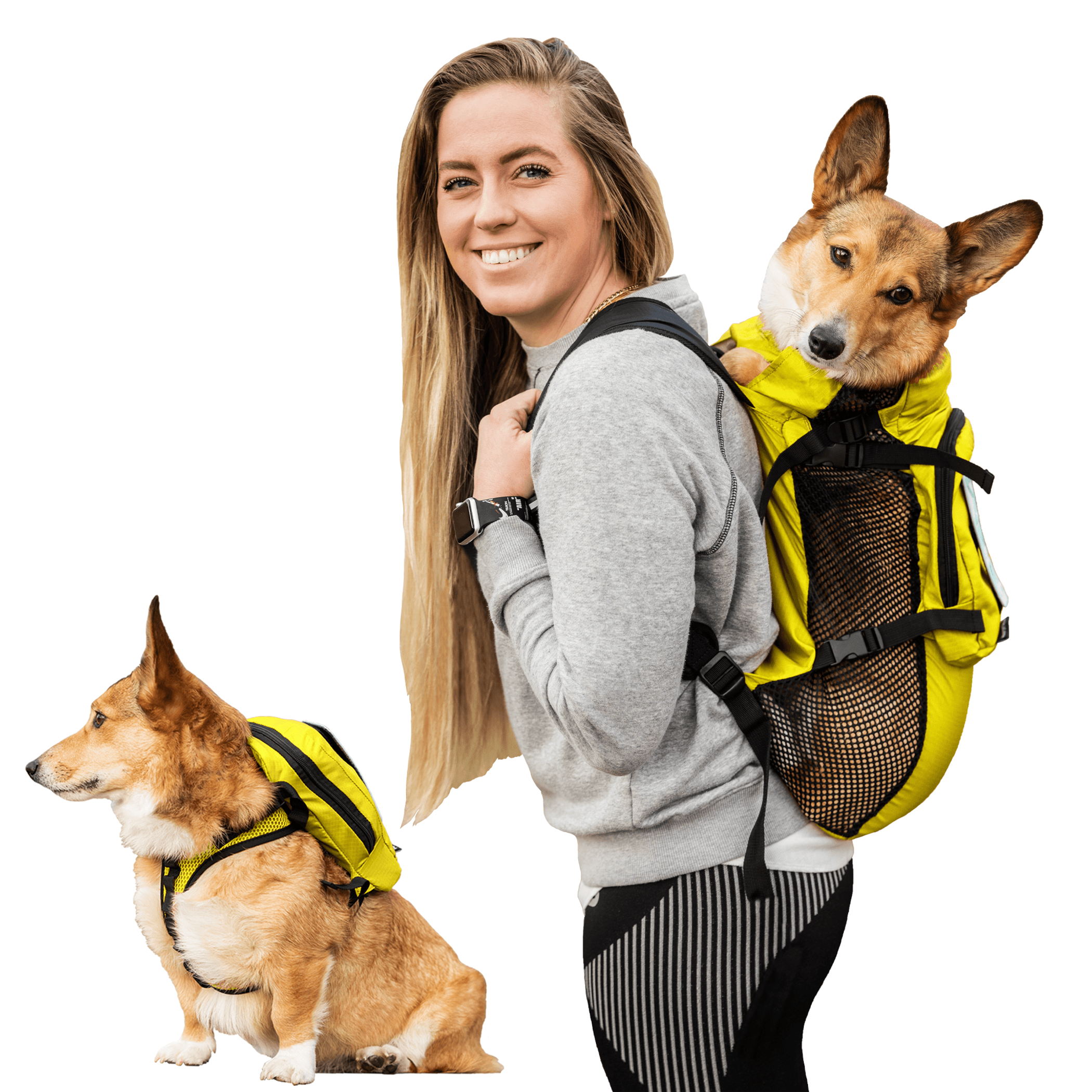 Walk-On with Harness & Storage Image 1