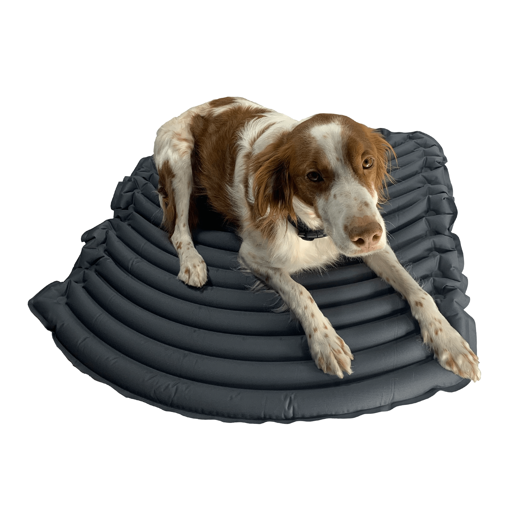 K9 Sport Sleeper With Klymit Technology- Dog Bed Image 1