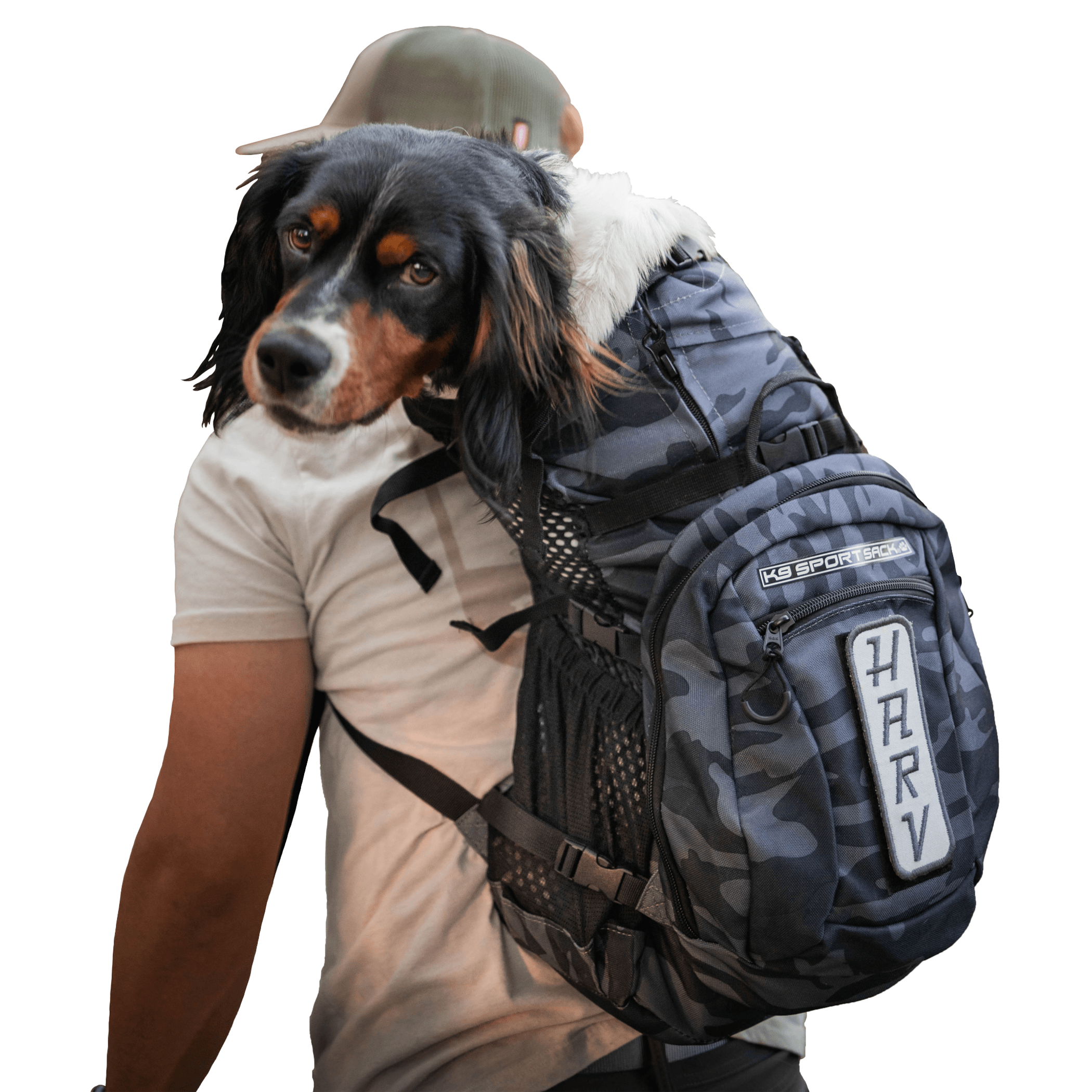 K9 Sport Sack PLUS 2 Image 1
