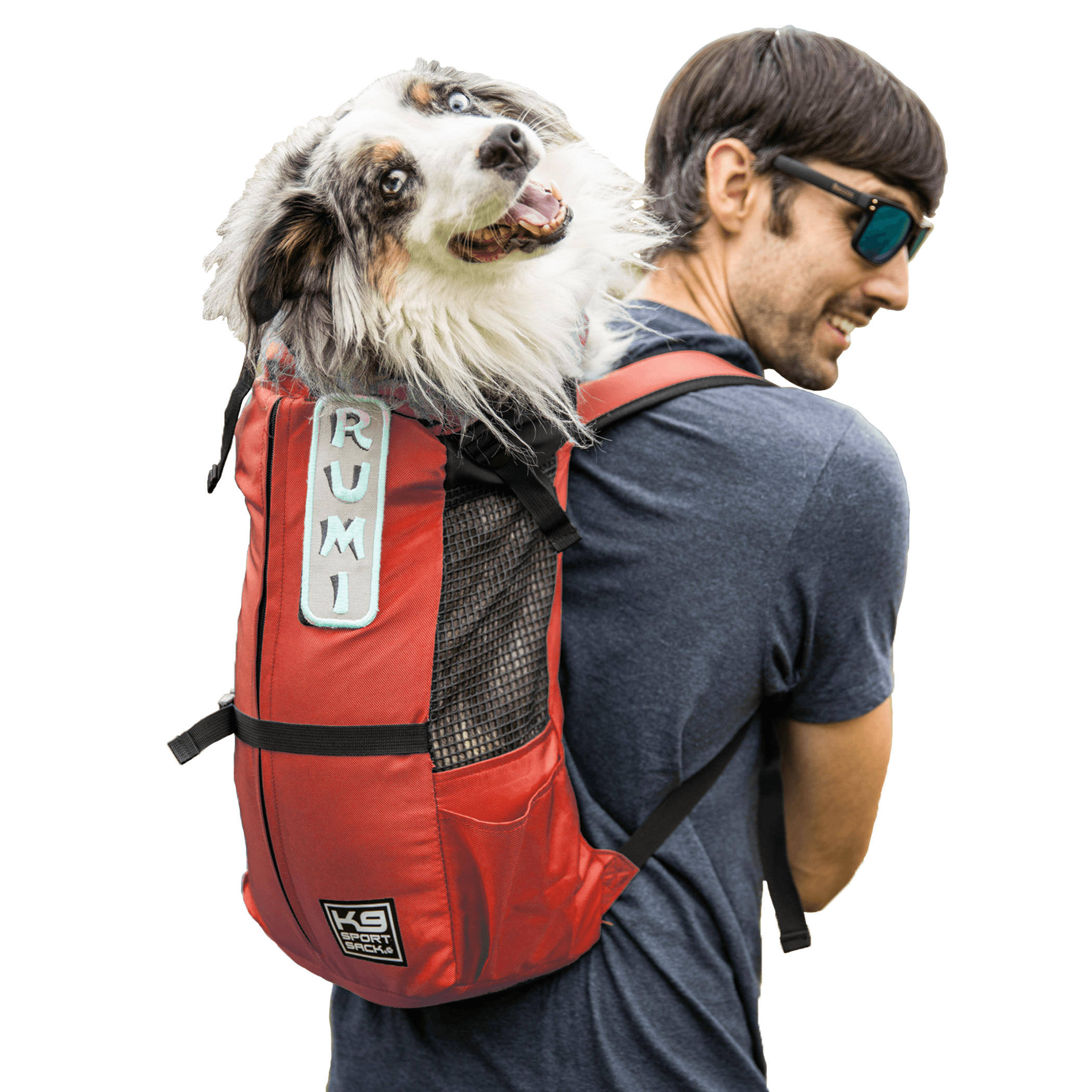 K9 Sport Sack Trainer Image 1