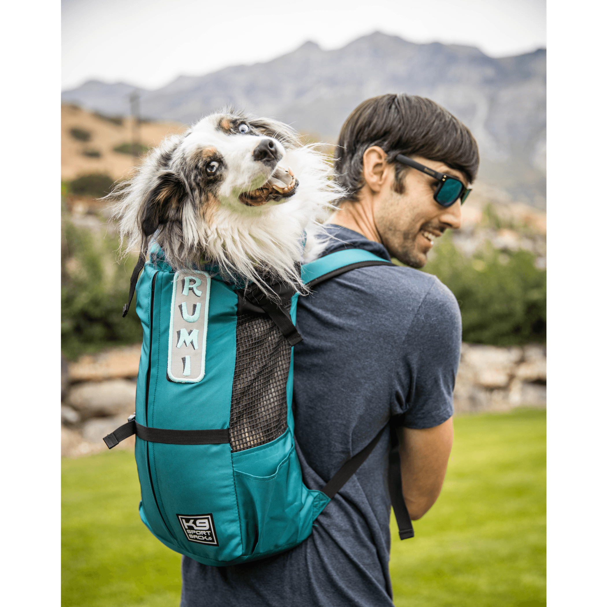 K9 Sport Sack Trainer Image 1