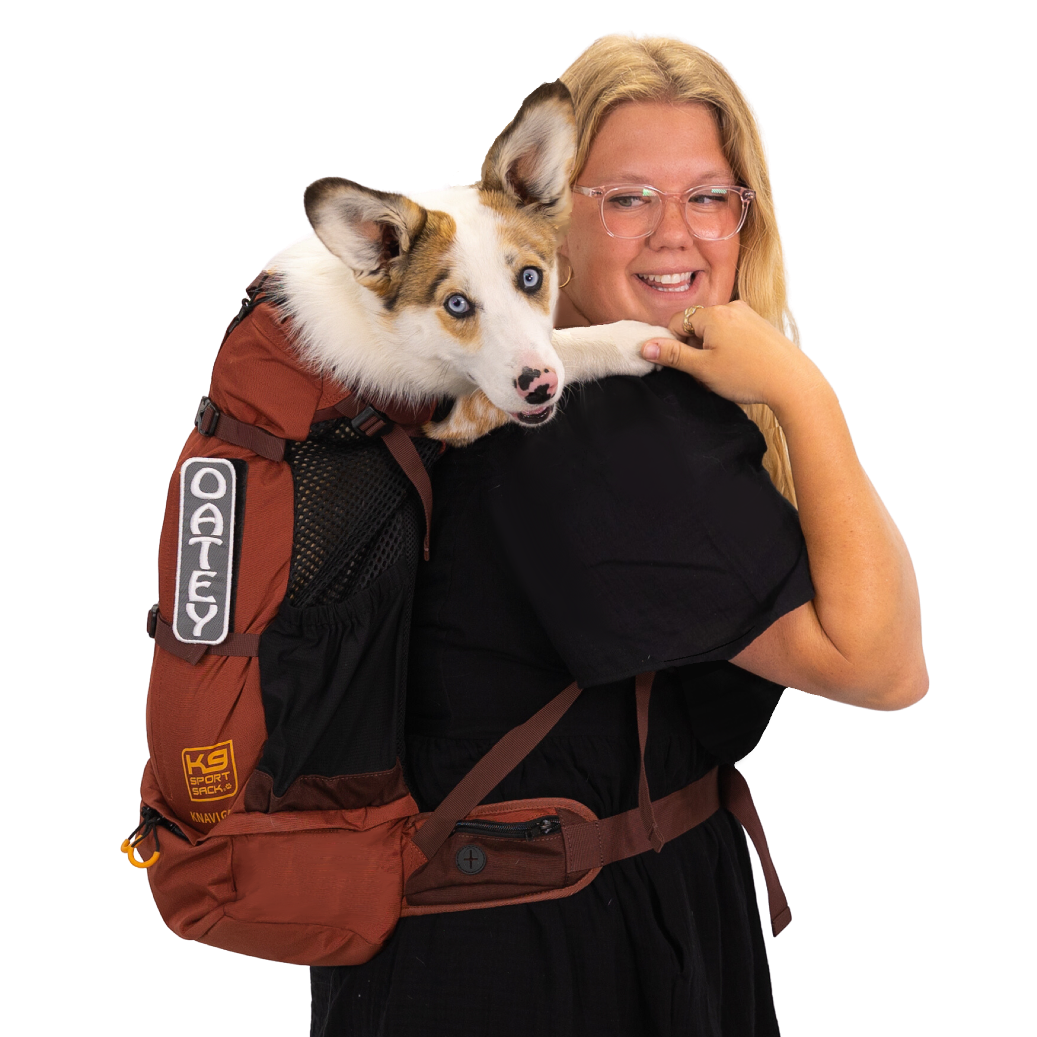 K9 Sport Sack Knavigate Image 1