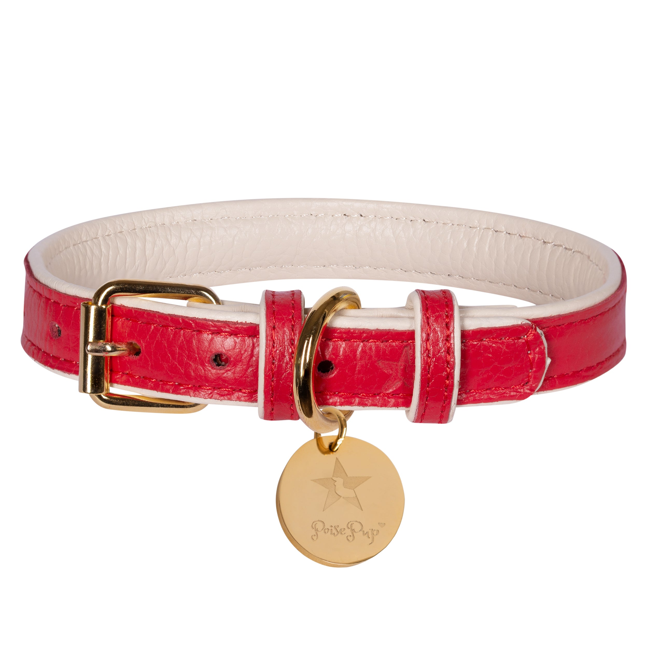 Dog Collar Image 1