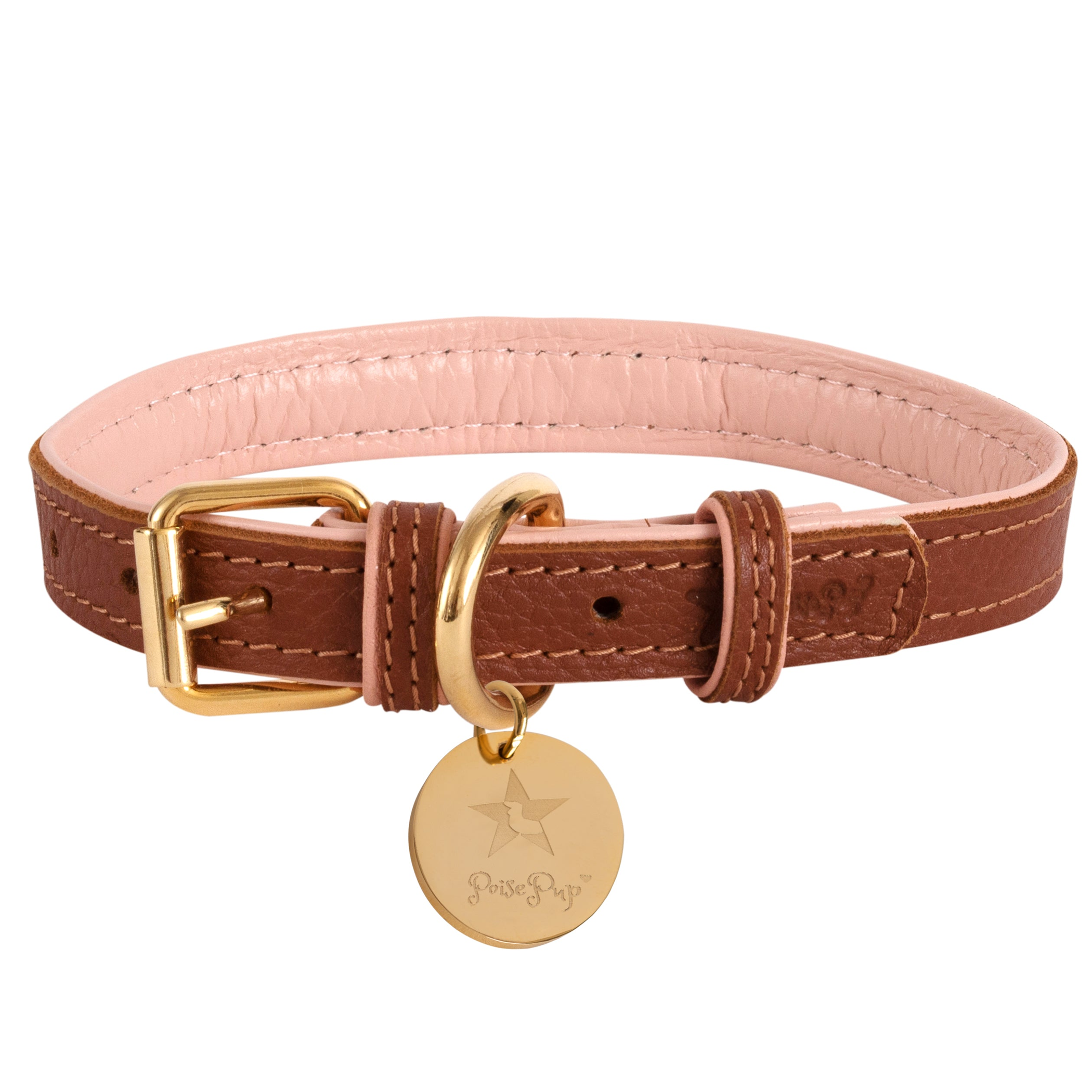 Dog Collar Image 1