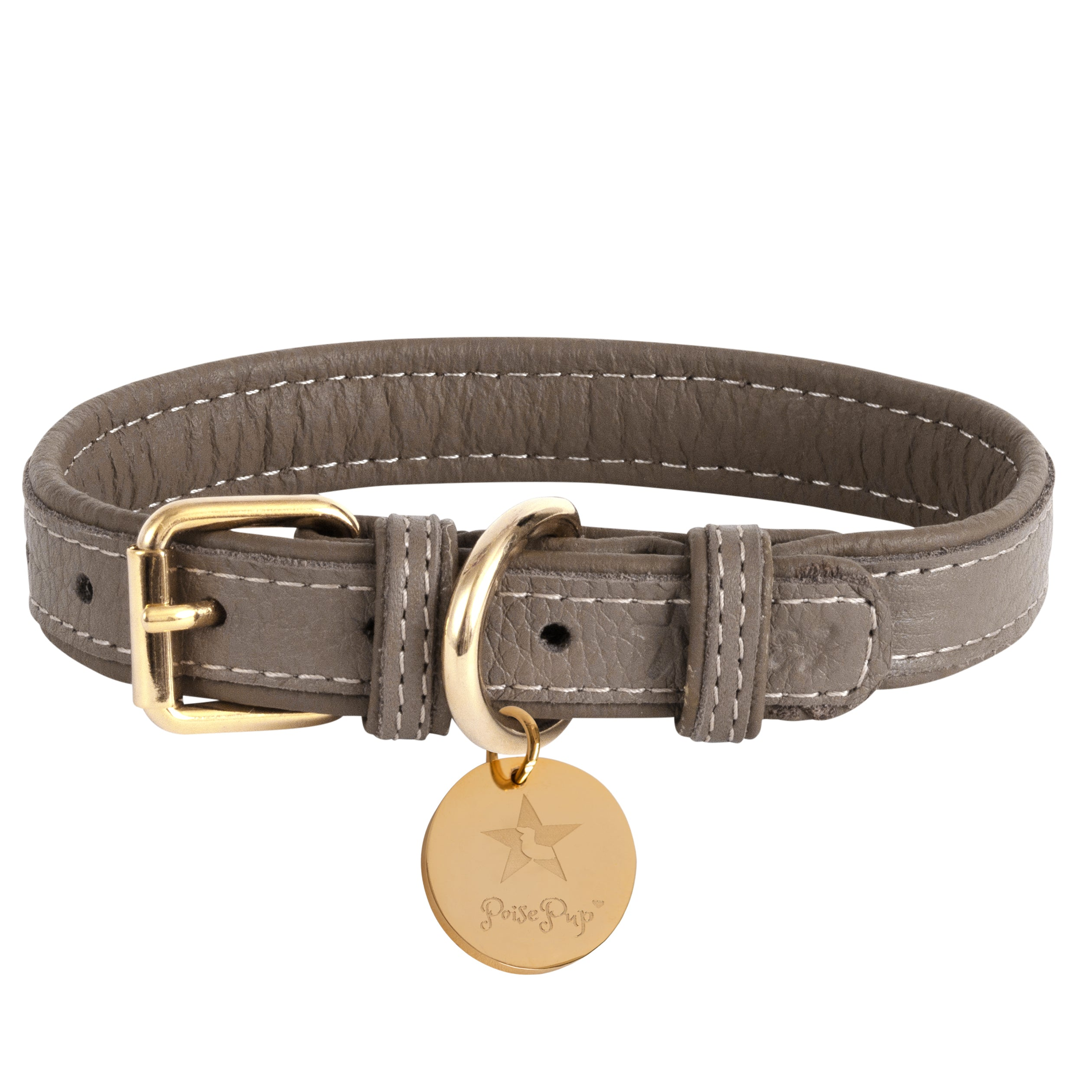 Dog Collar Image 1