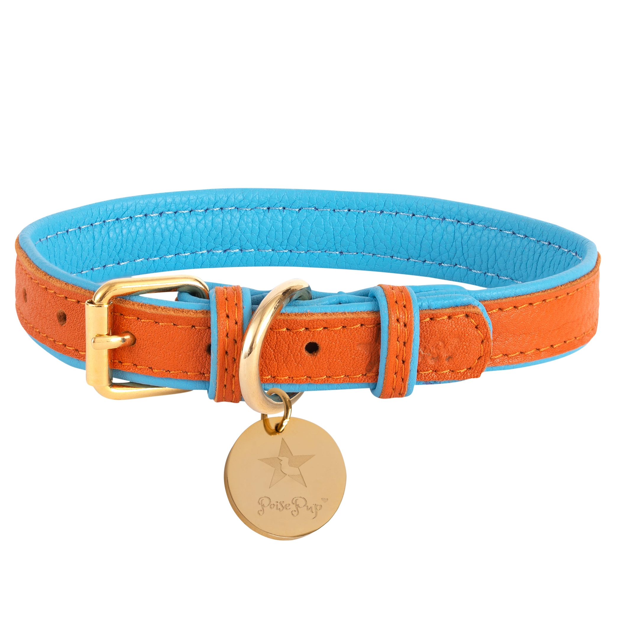 Dog Collar Image 1