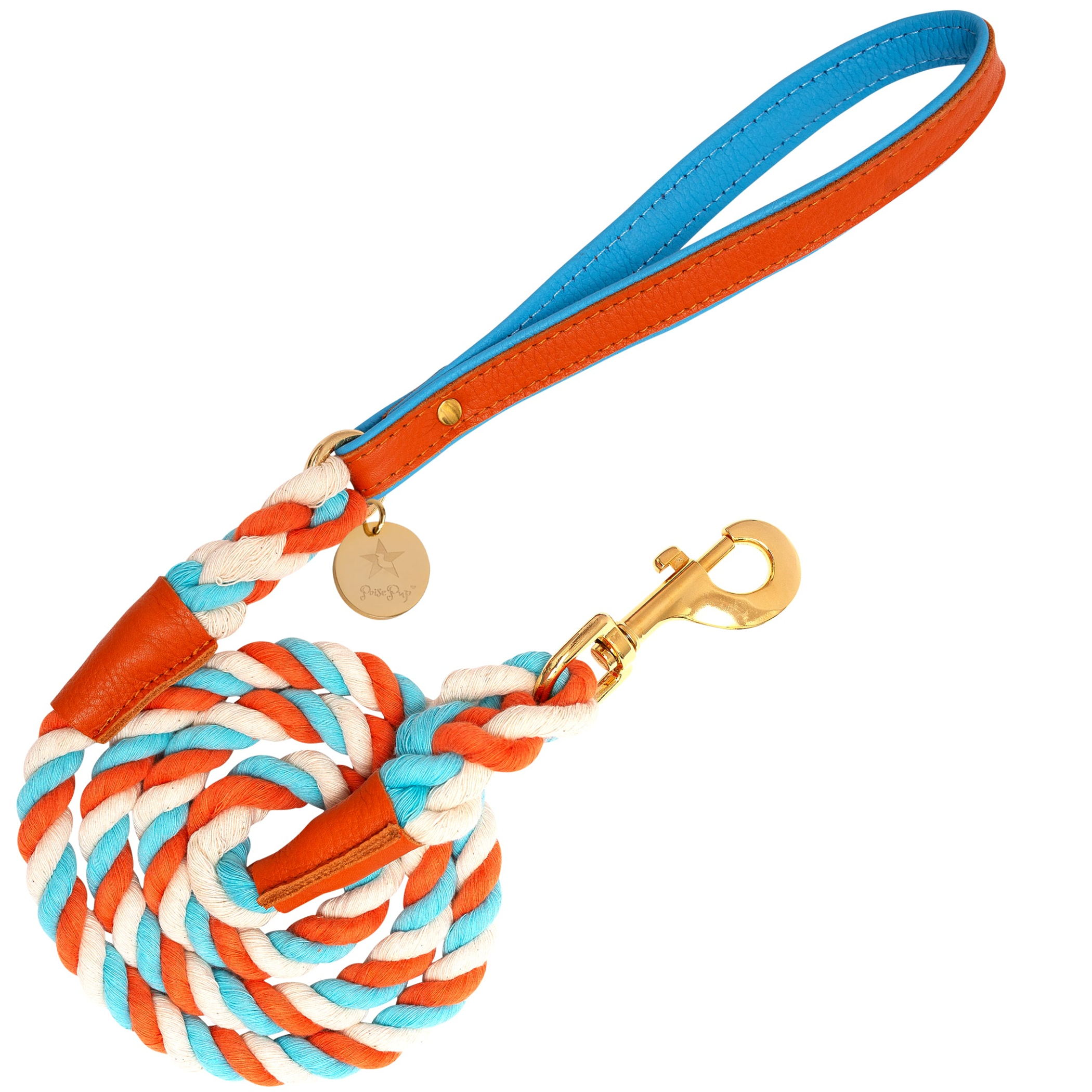 Dog Leash Image 1
