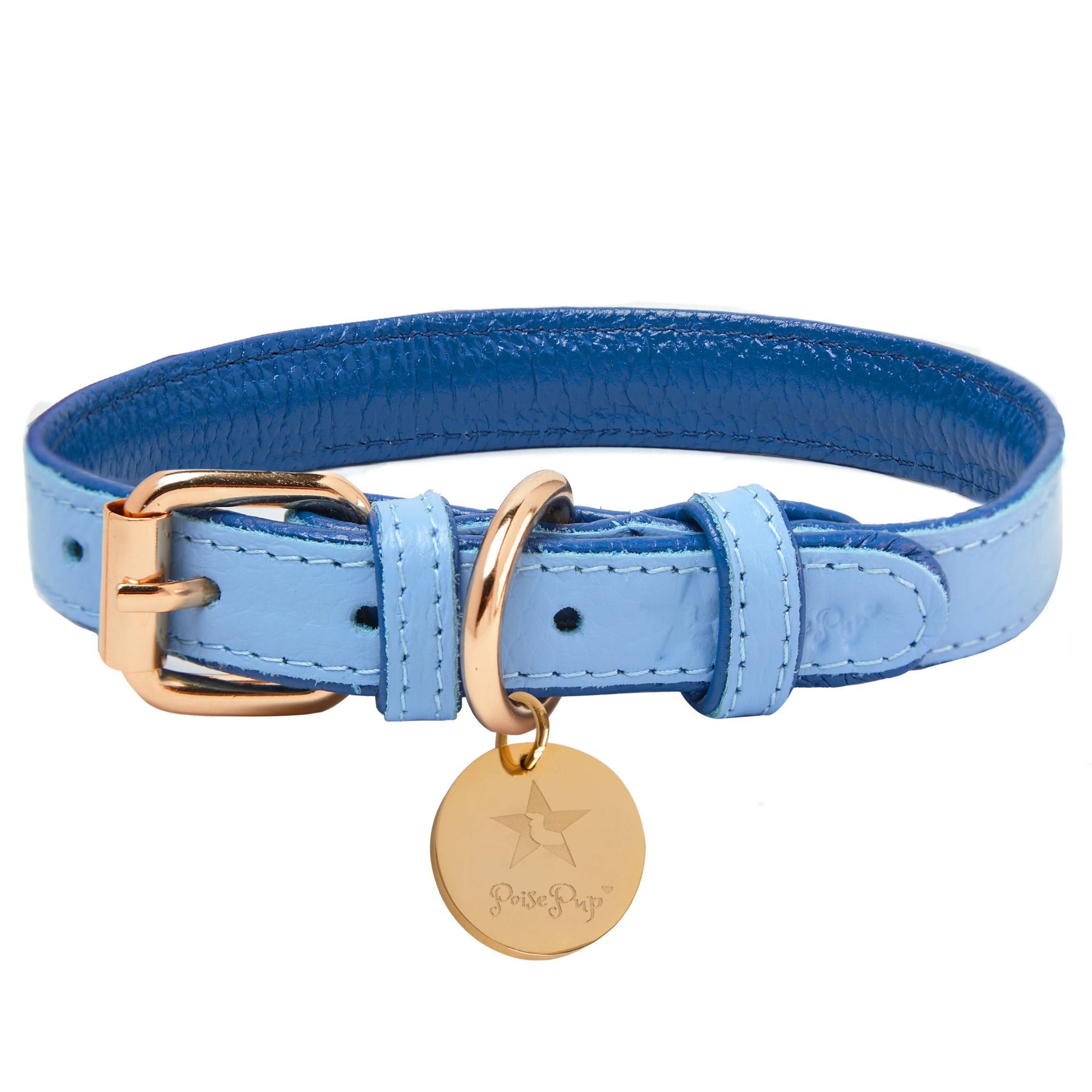 Dog Collar Image 1