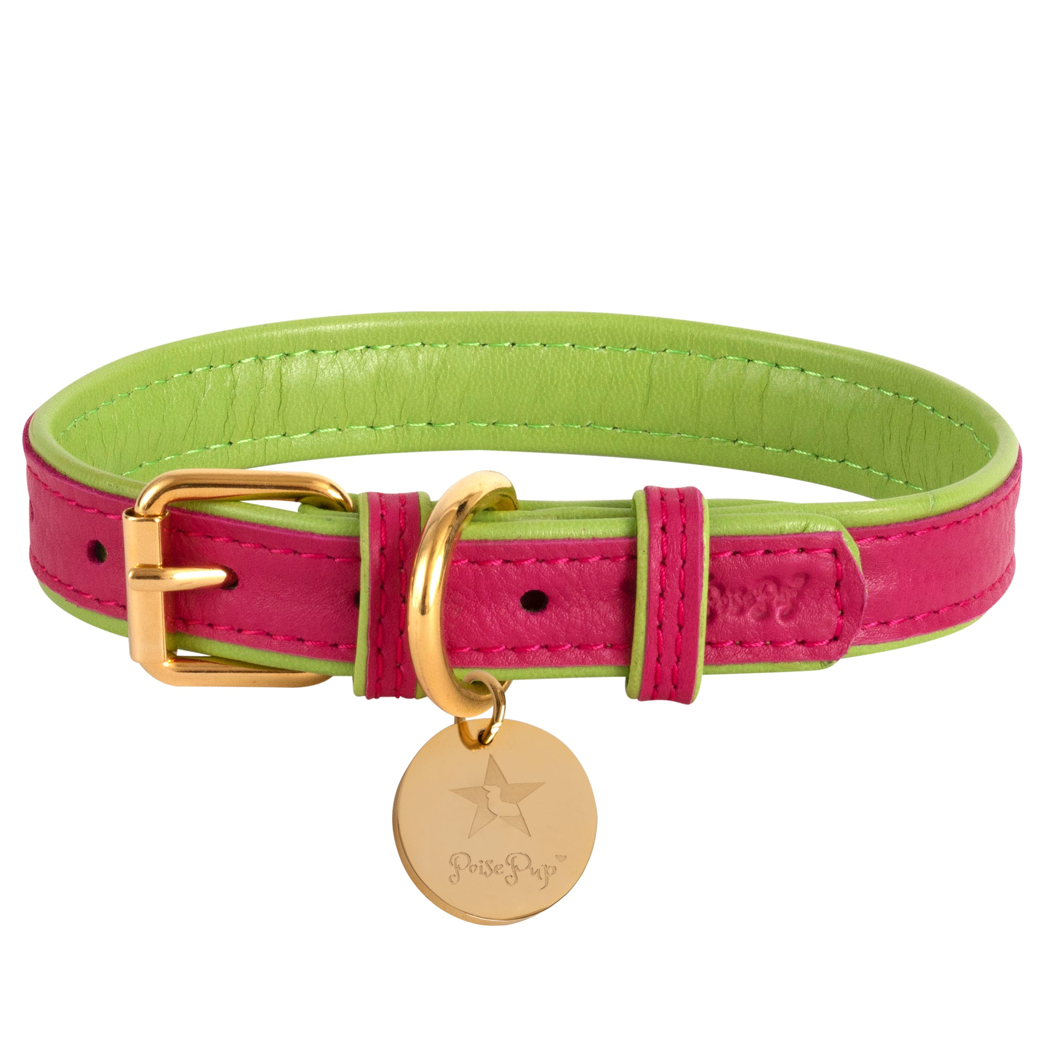 Dog Collar Image 1
