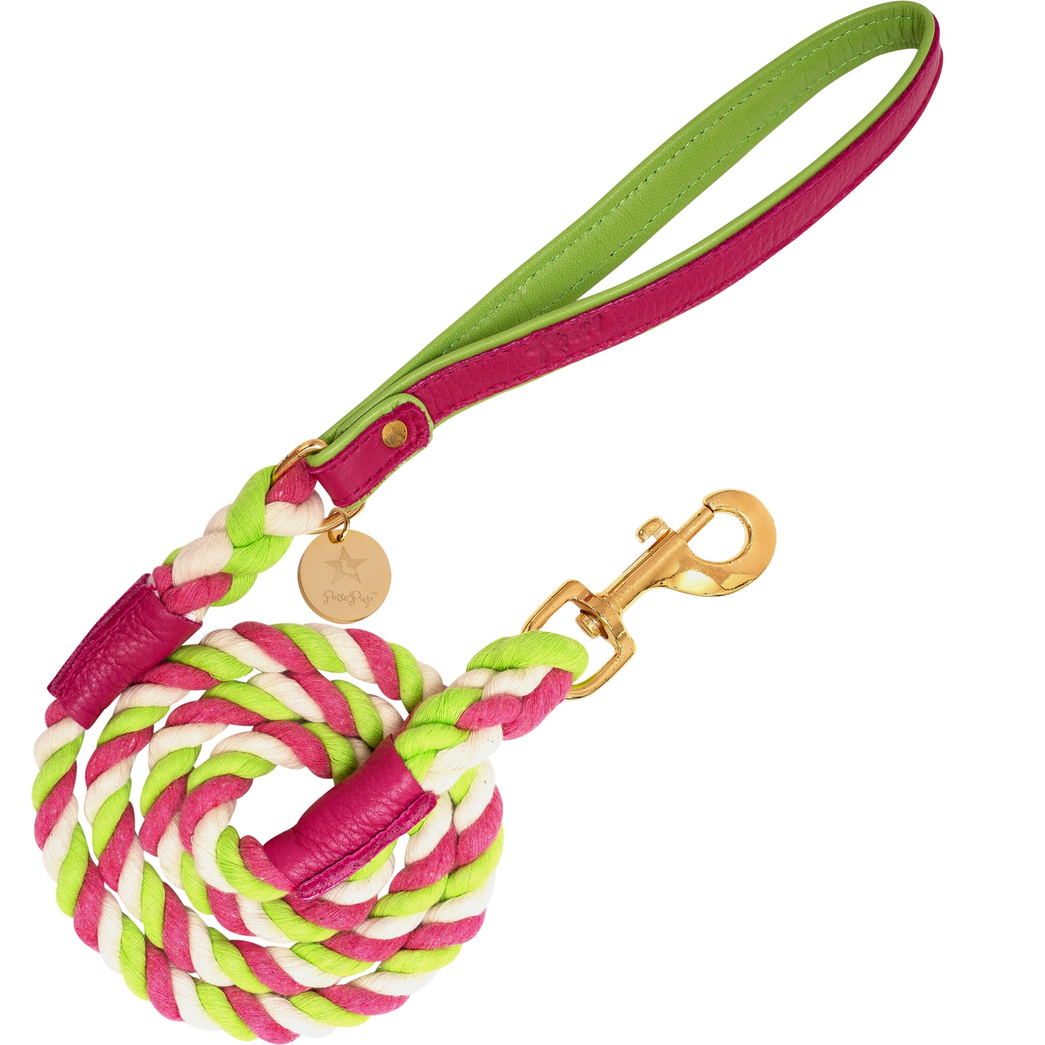 Dog Leash Image 1