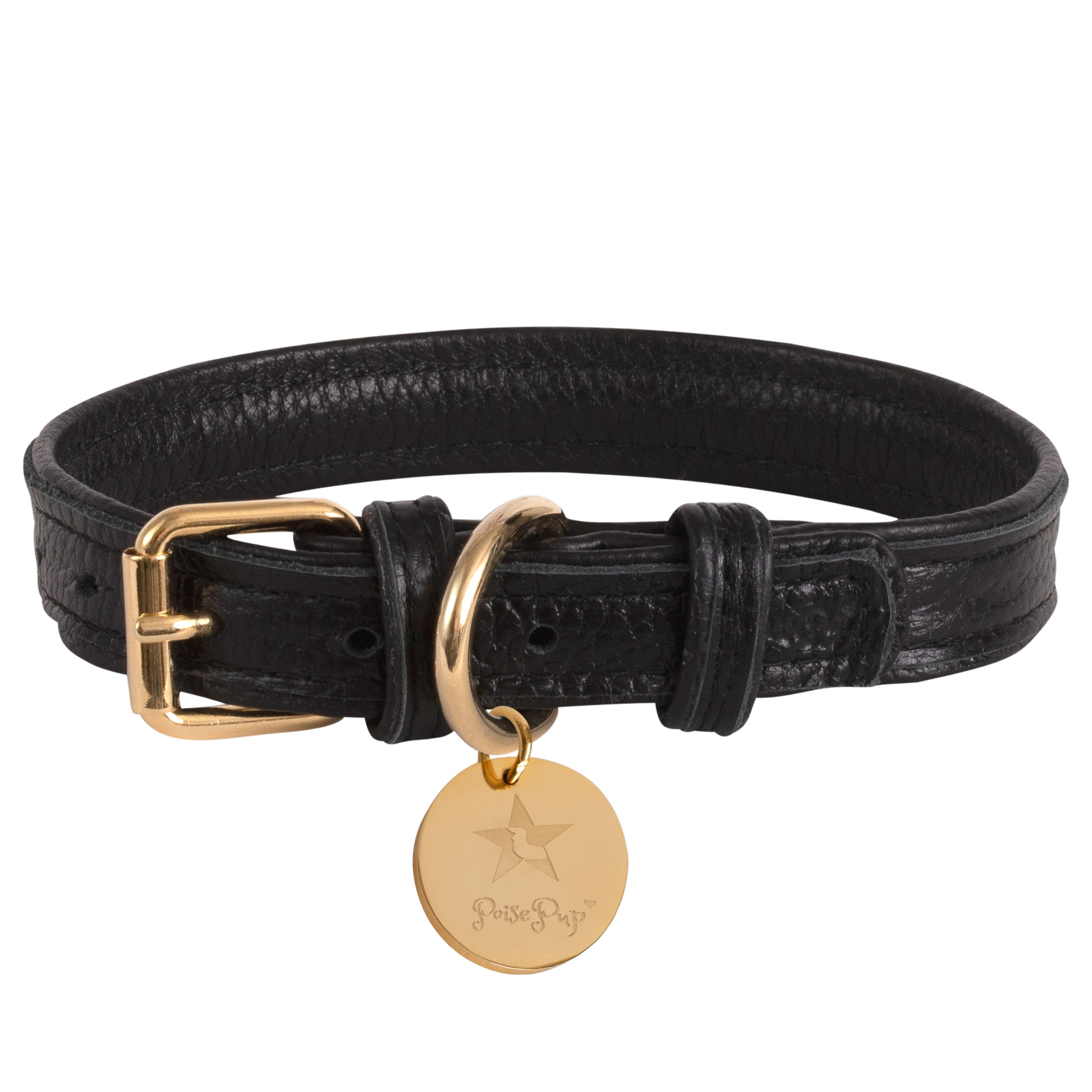 Dog Collar Image 1