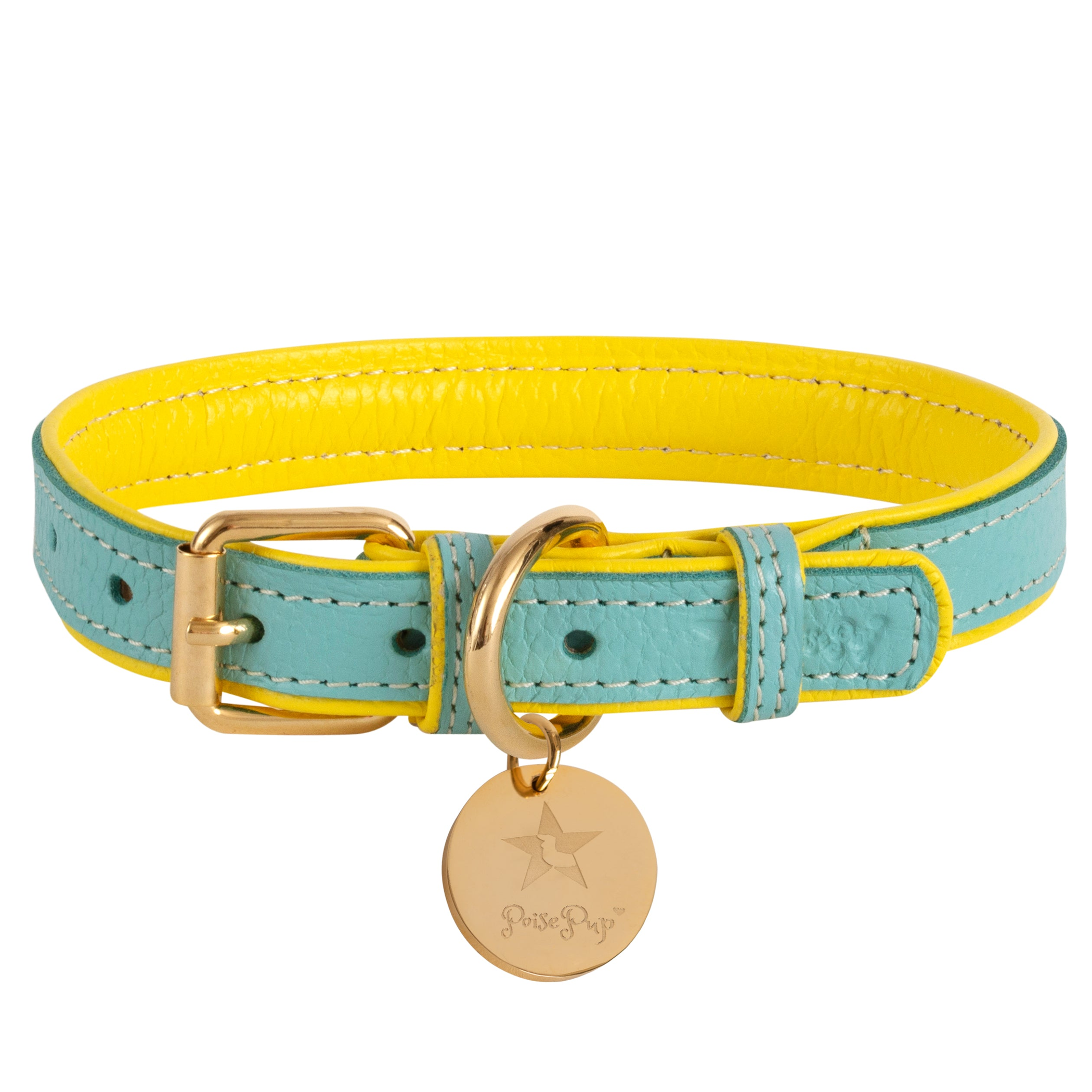 Dog Collar Image 1