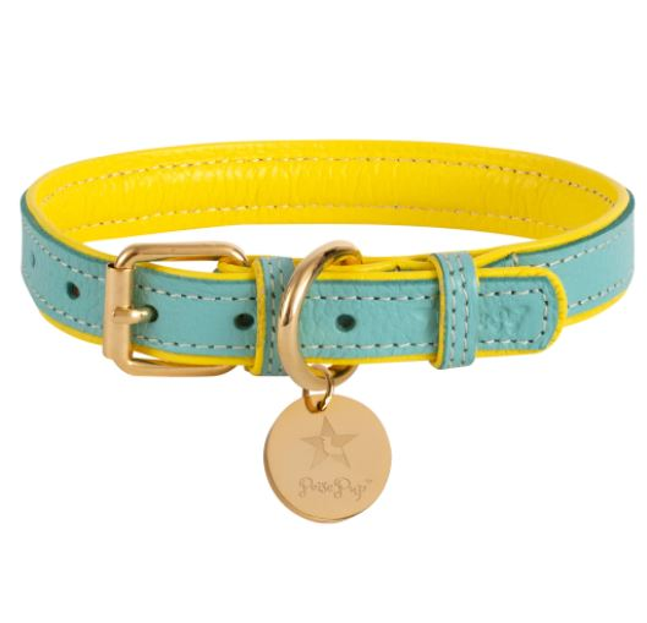 Dog Collar Image 1
