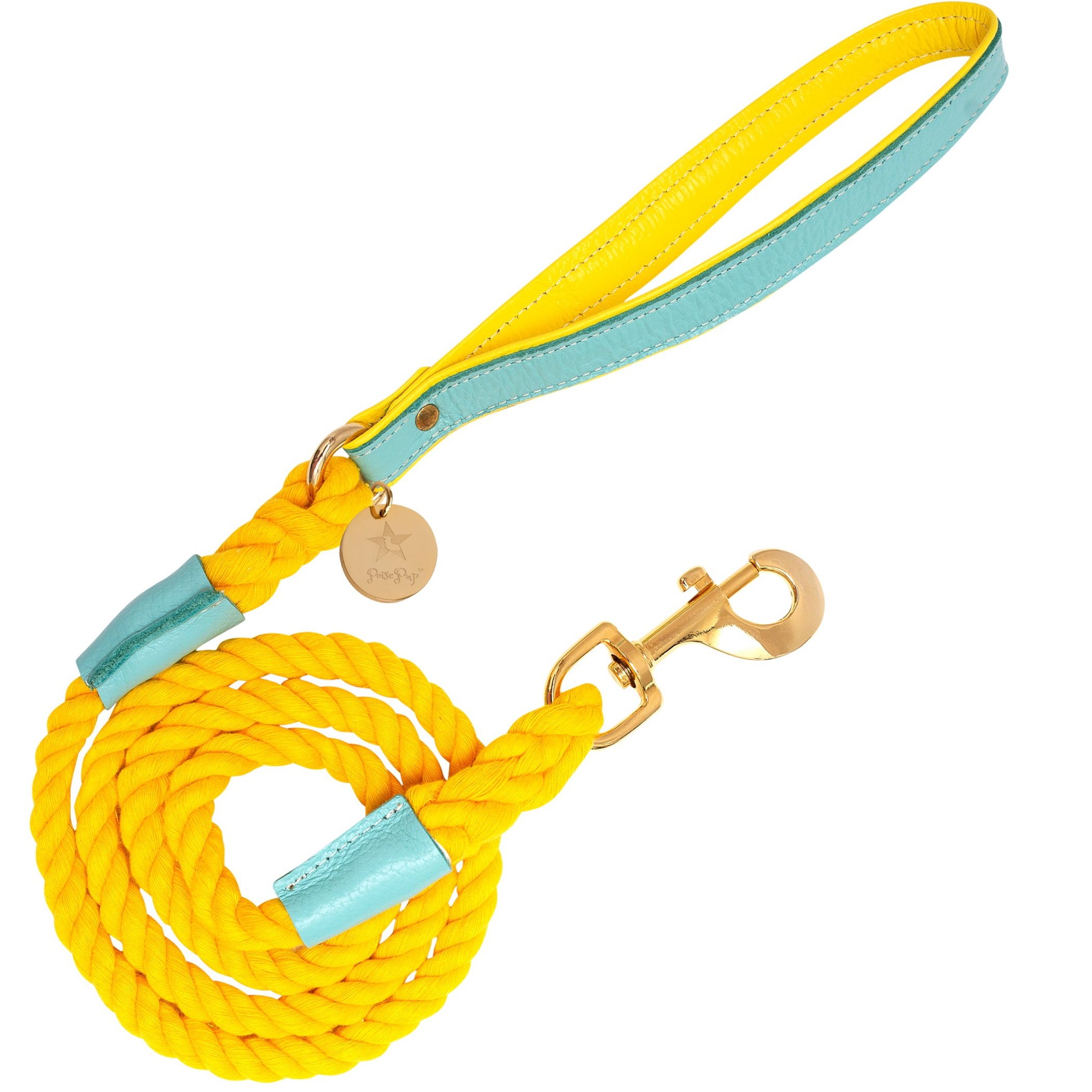 Dog Leash Image 1