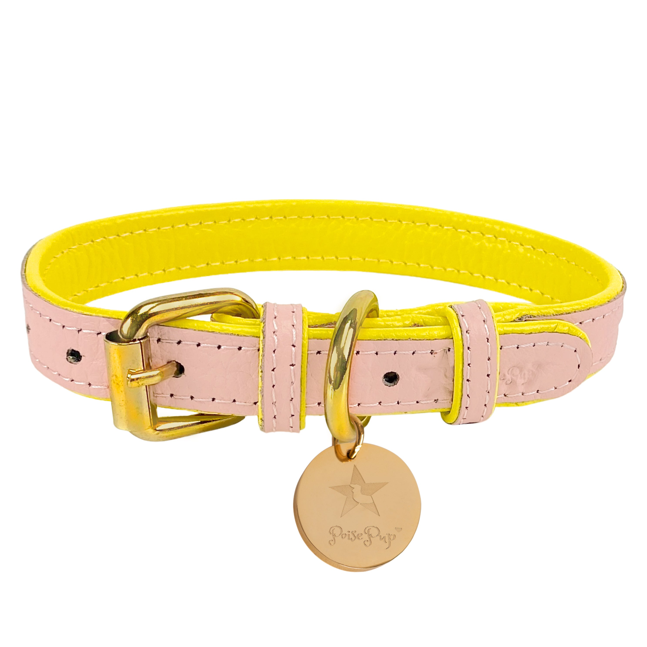 Dog Collar Image 1