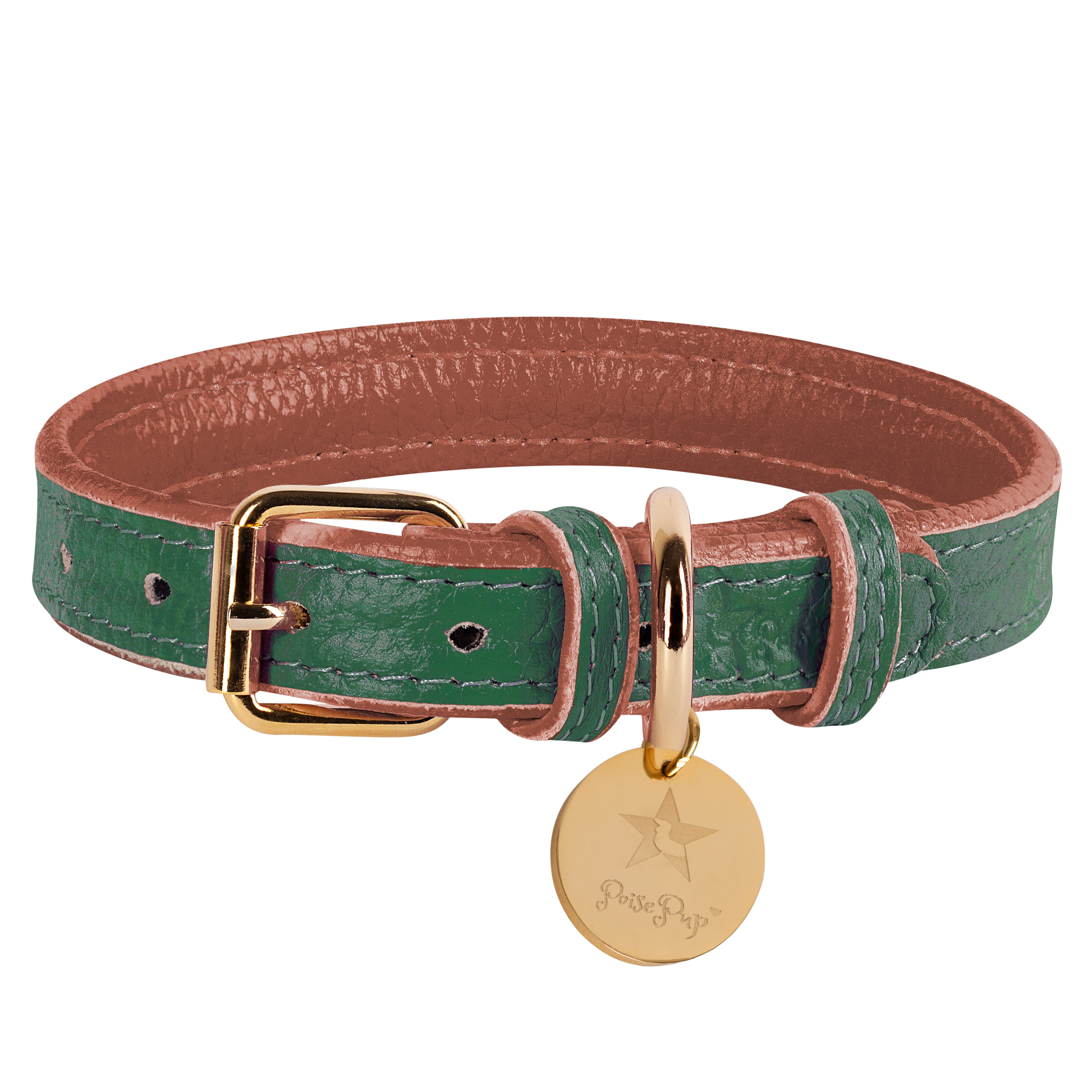 Dog Collar Image 1