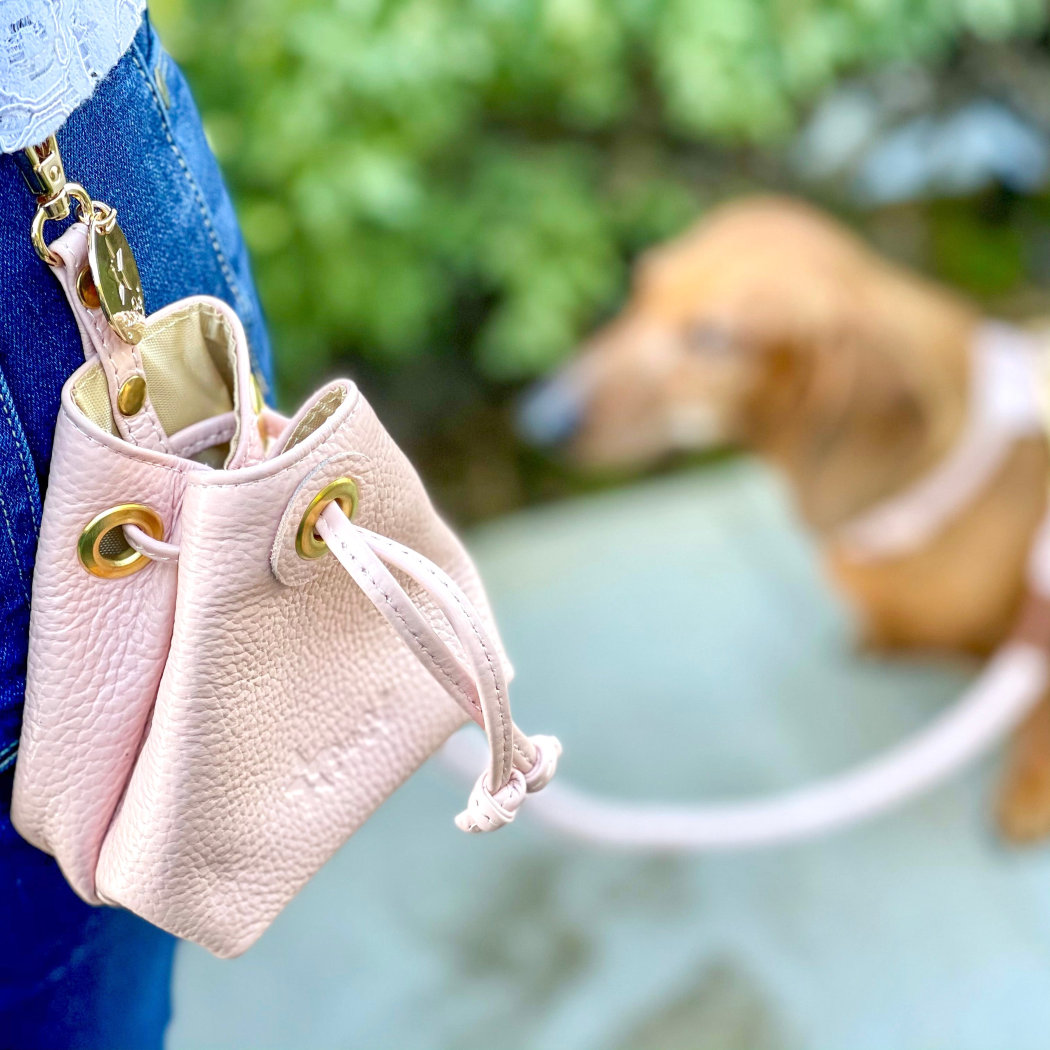 Treat Bag Training Dog Treats Rosewood Leather Slim Design Waterproof 10cm x 11.5cm x 7.6cm Clip Included