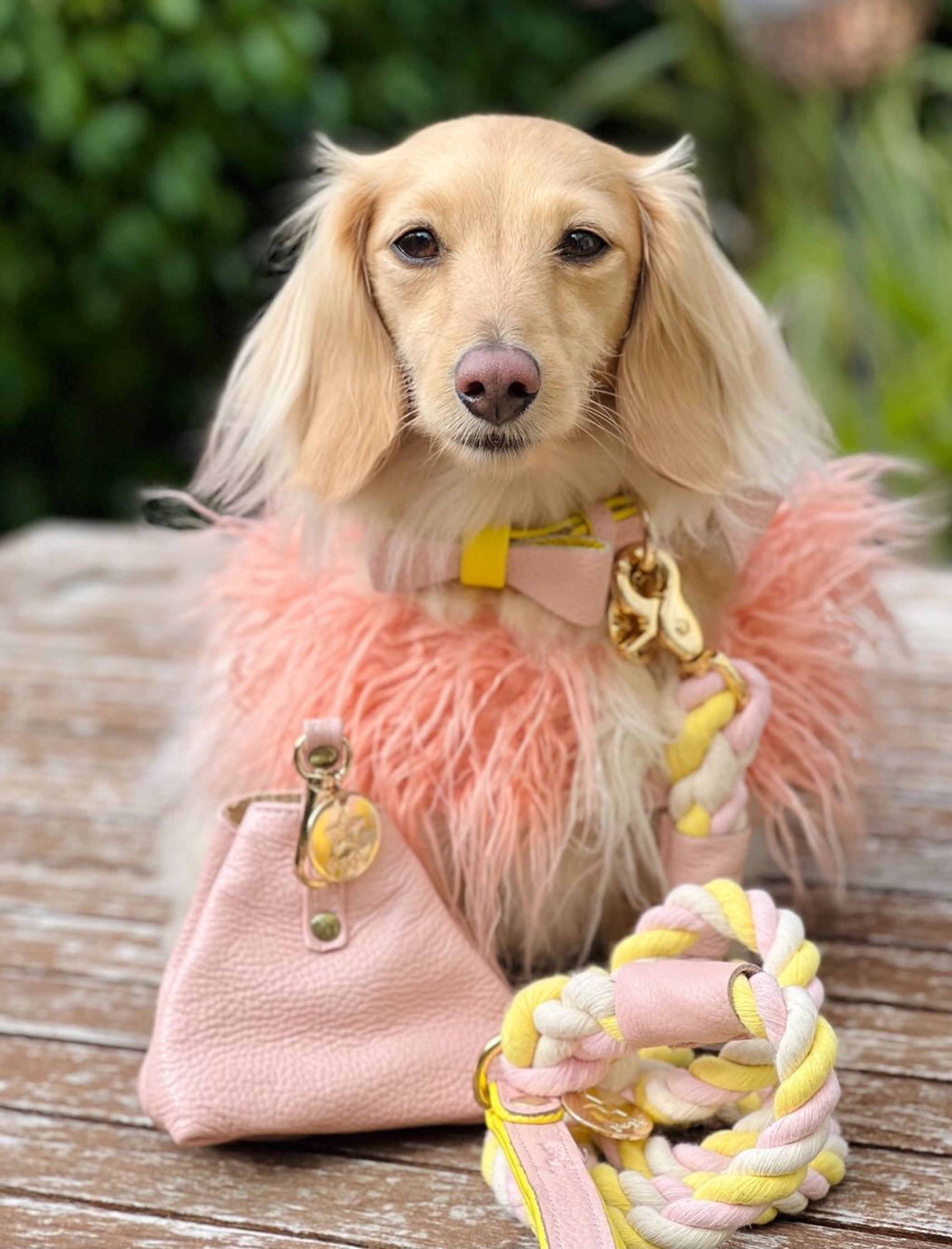 Treat Bag Training Dog Treats Rosewood Leather Slim Design Waterproof 10cm x 11.5cm x 7.6cm Clip Included