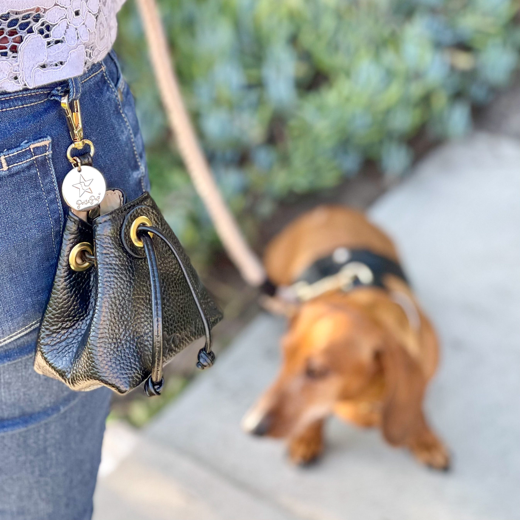 Treat Bag Dog Training Accessory Handmade Full Grain Leather Waterproof Slim Design Rosewood 4x4.5x3 Inches