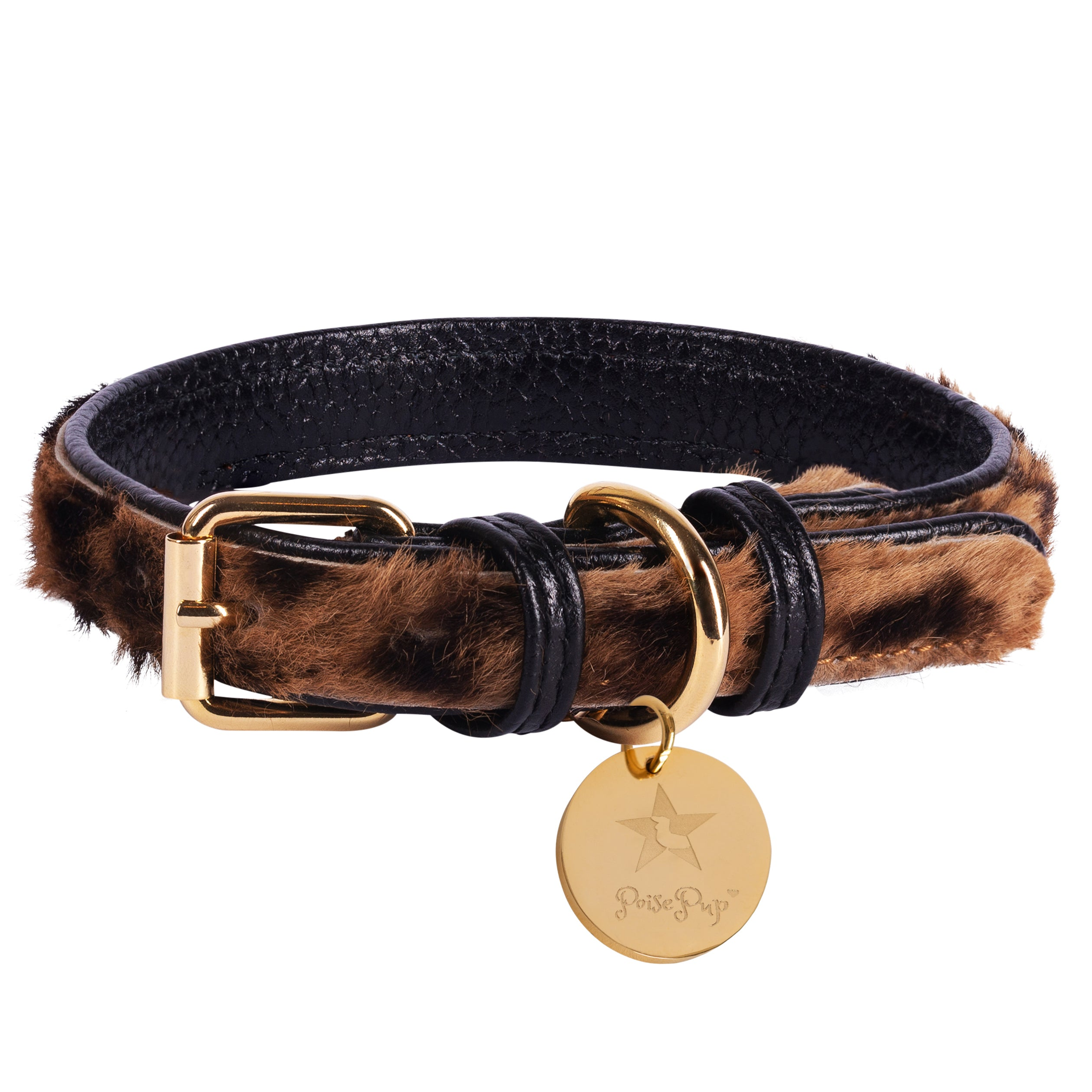 Dog Collar Image 1