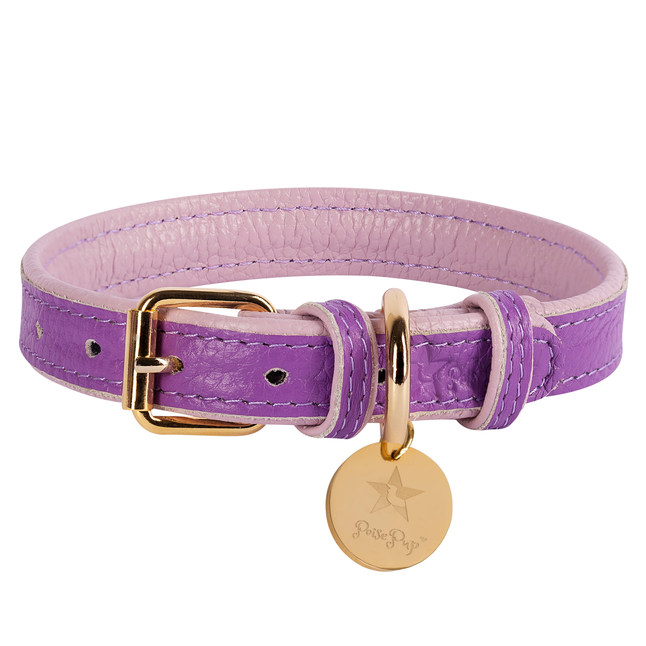 Dog Collar Image 1