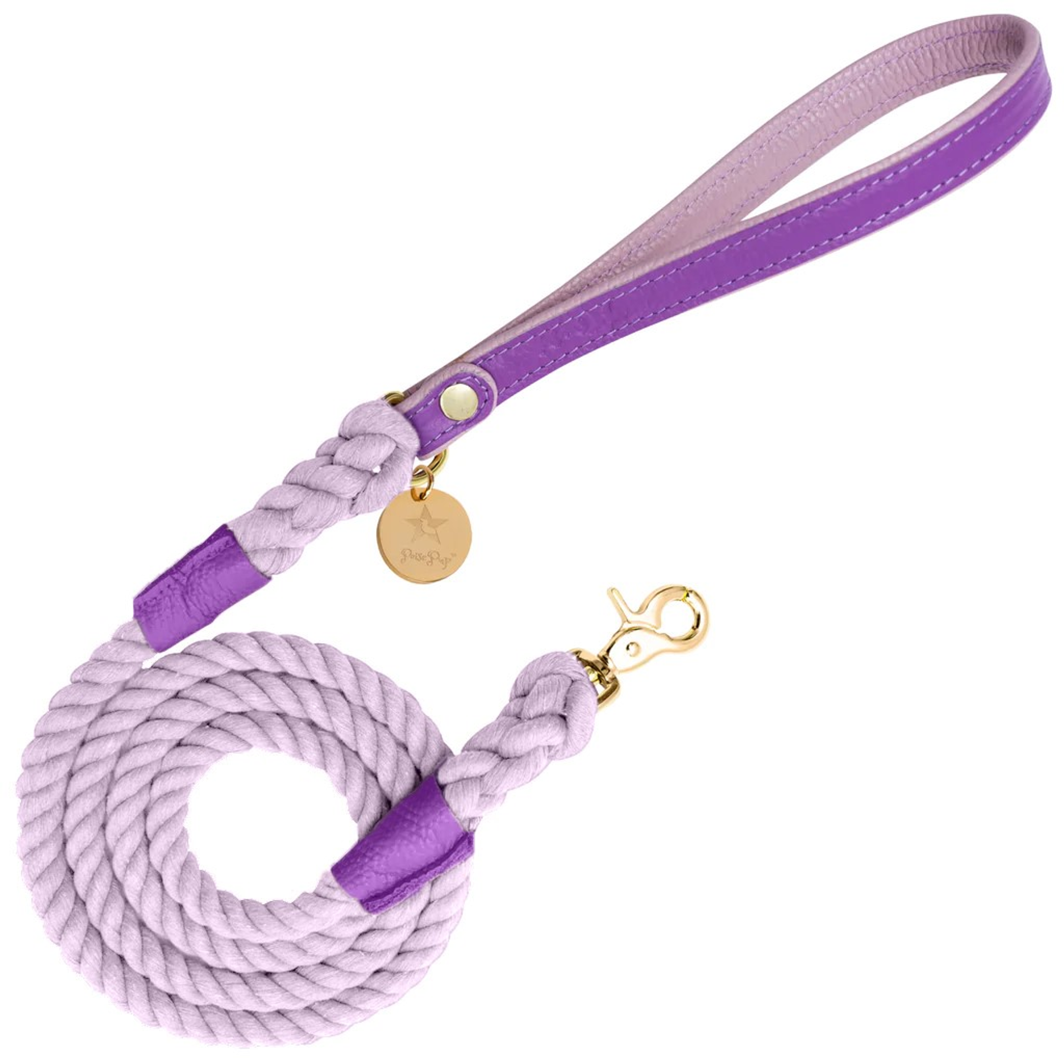 Dog Leash Image 1