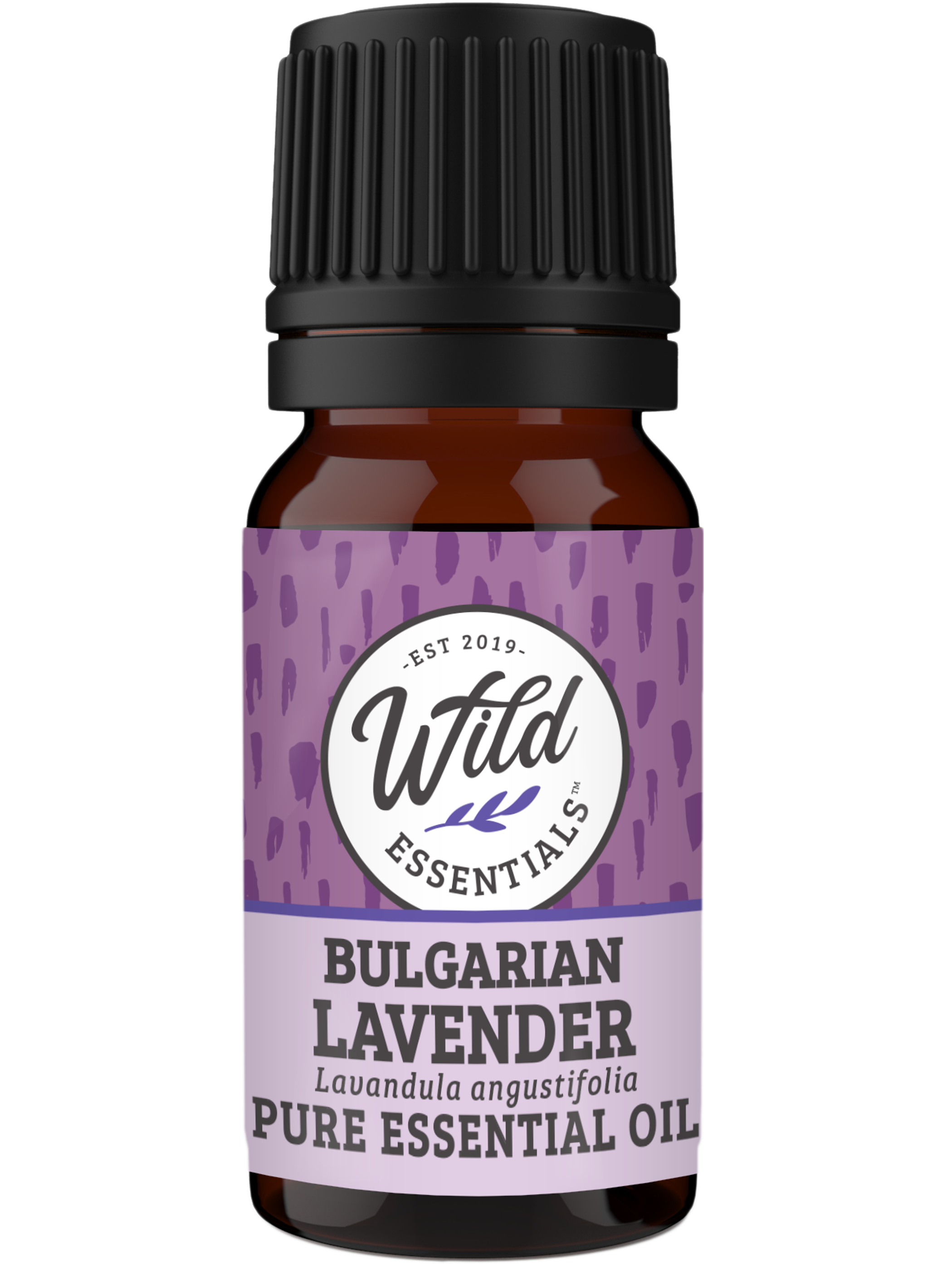 Essential Oil Lavender 100% Pure Bulgarian 10ml Bottle Botanical Name Lavandula angustifolia