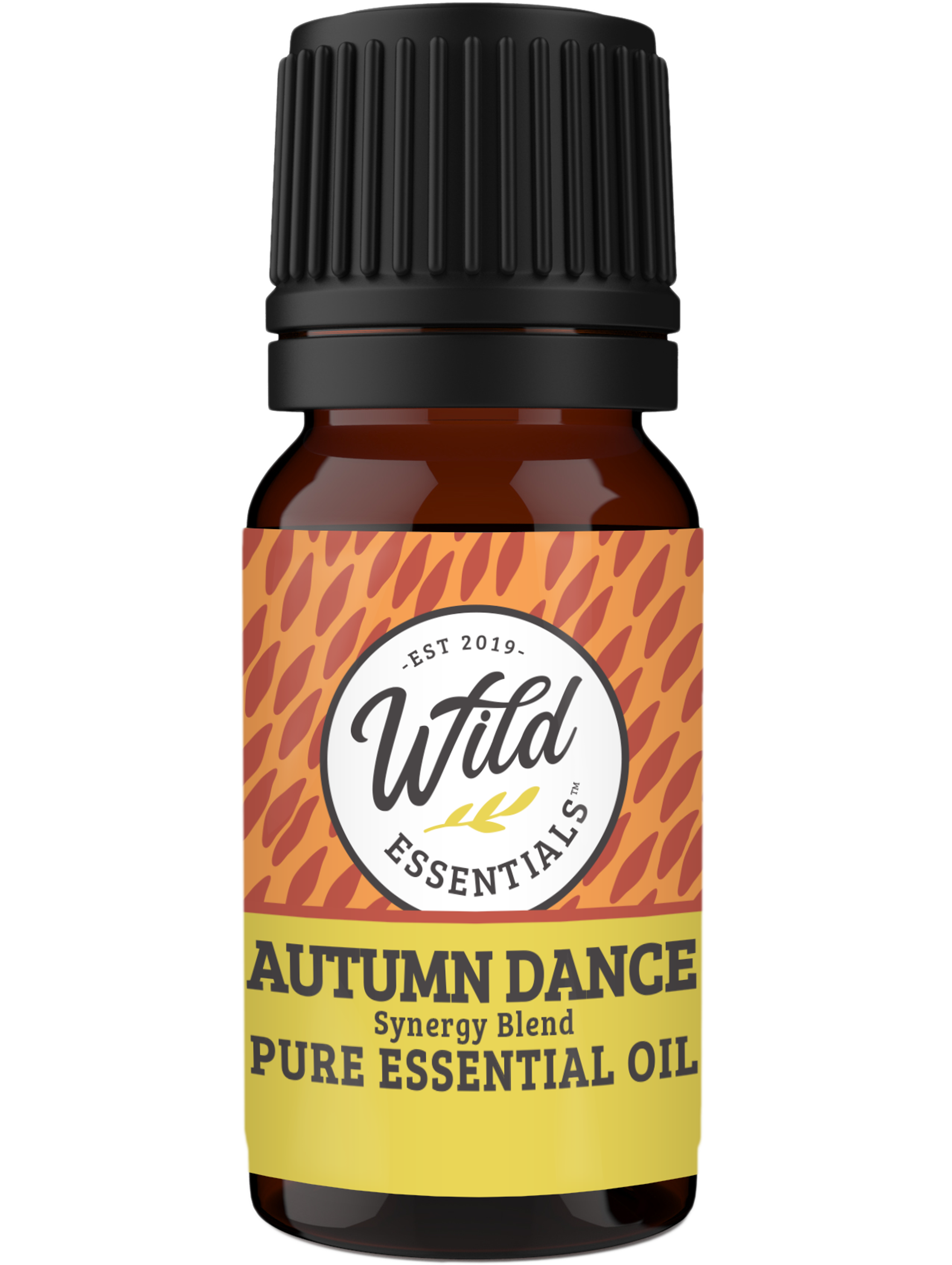 Essential Oil Synergy Blend Autumn Dance Cinnamon Eucalyptus Frankincense Helichrysum Lemon Marjoram Spruce Warming Aroma 18 Different Areas of Focus