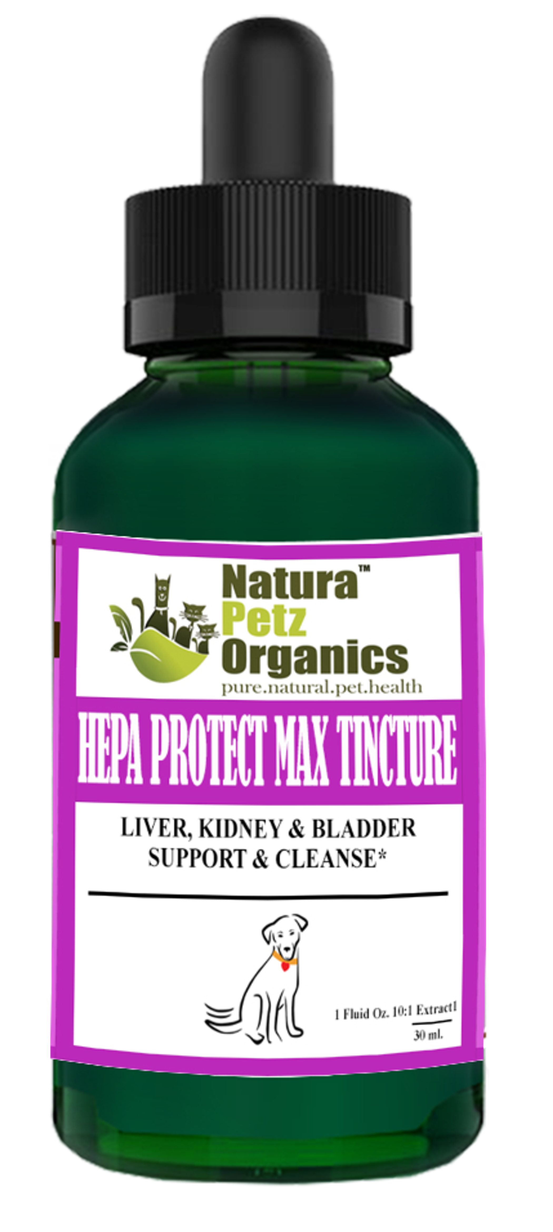 Hepa Protect Max Tincture* Master Blend Liver Kidney & Bladder Support & Cleanse 10:1 Extract* Image 1