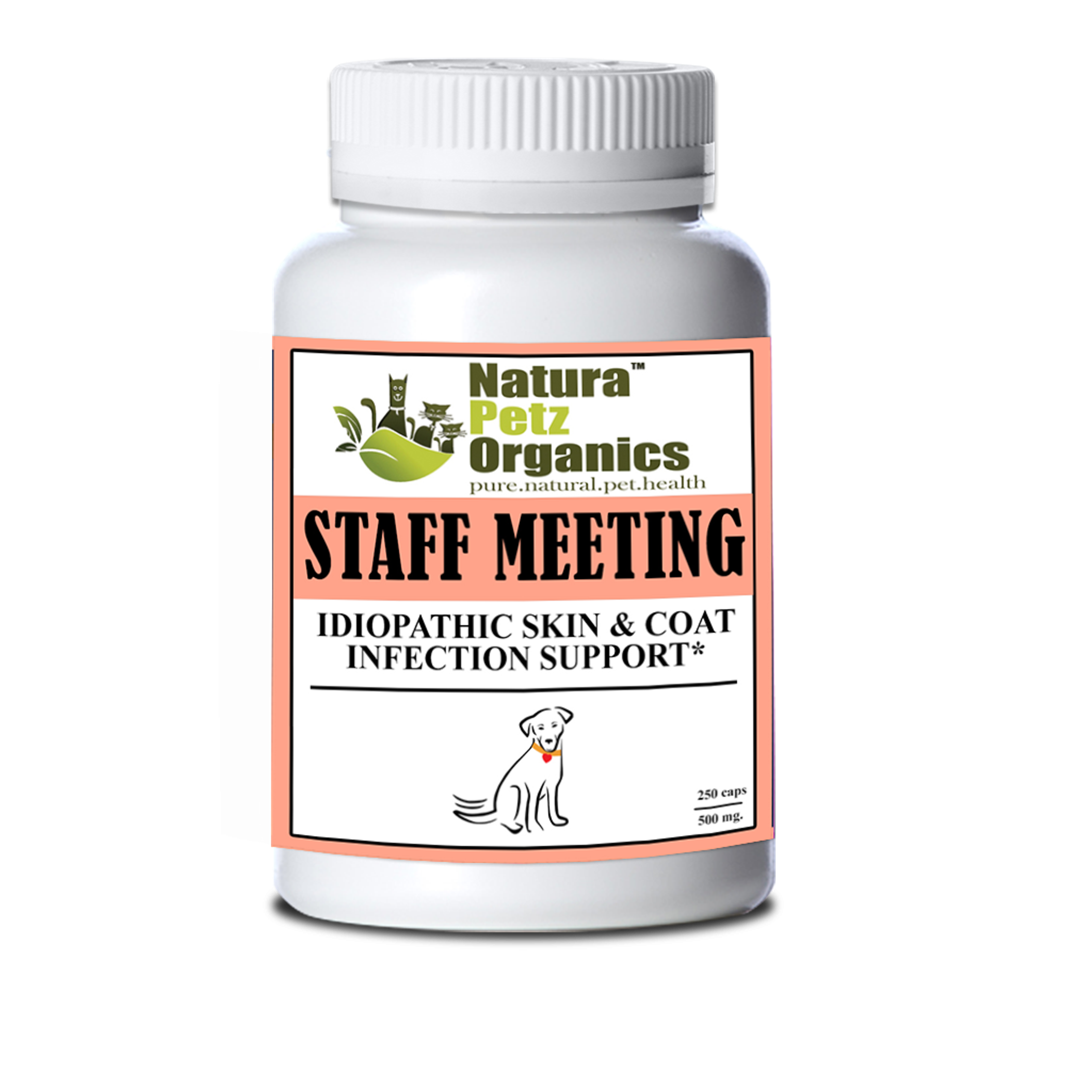 Staff Meeting* Idiopathic Skin & Coat Infection* Support For Dogs And Cats* Image 1