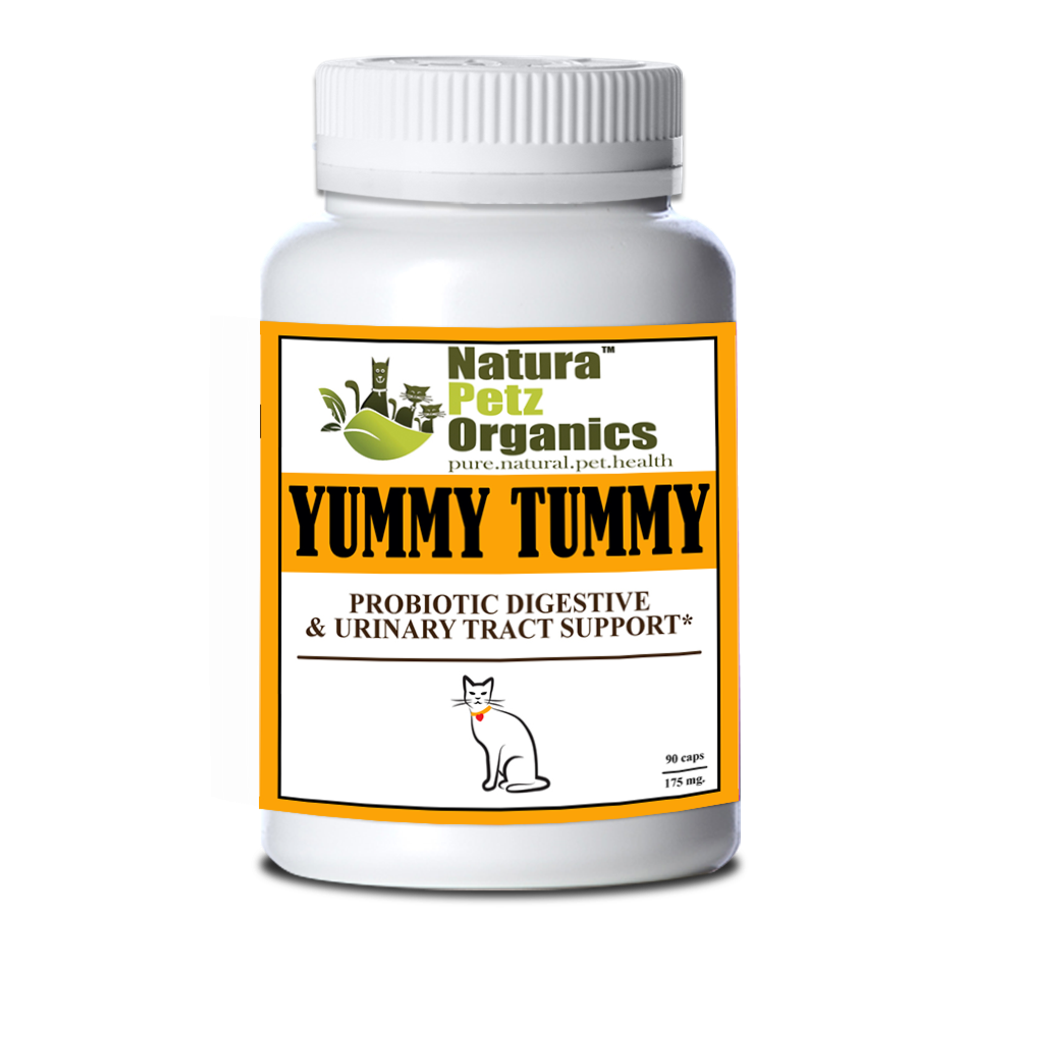Probiotic Digestive, Bladder & Urinary Tract Support* Image 1