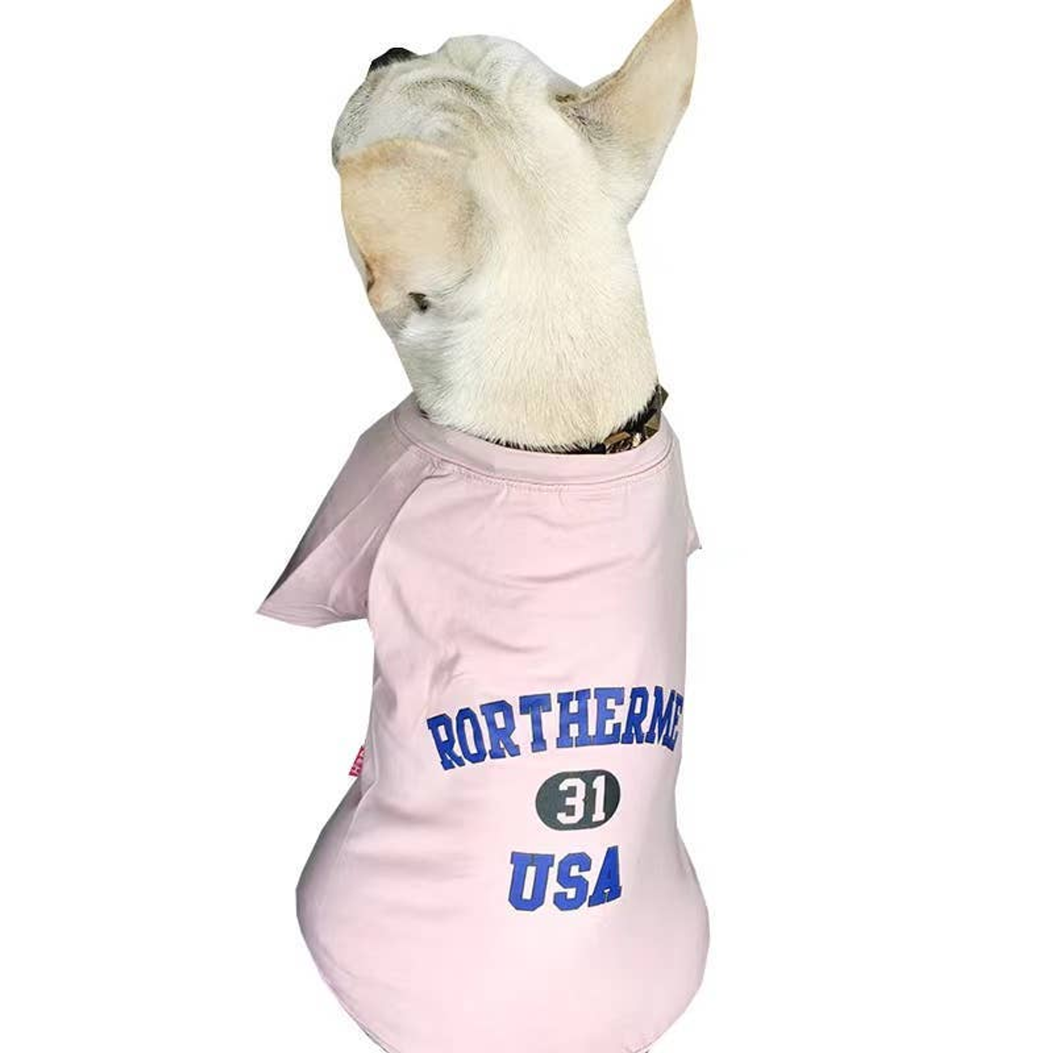 USA - Matching Pet and Owner Clothing Set Image 1