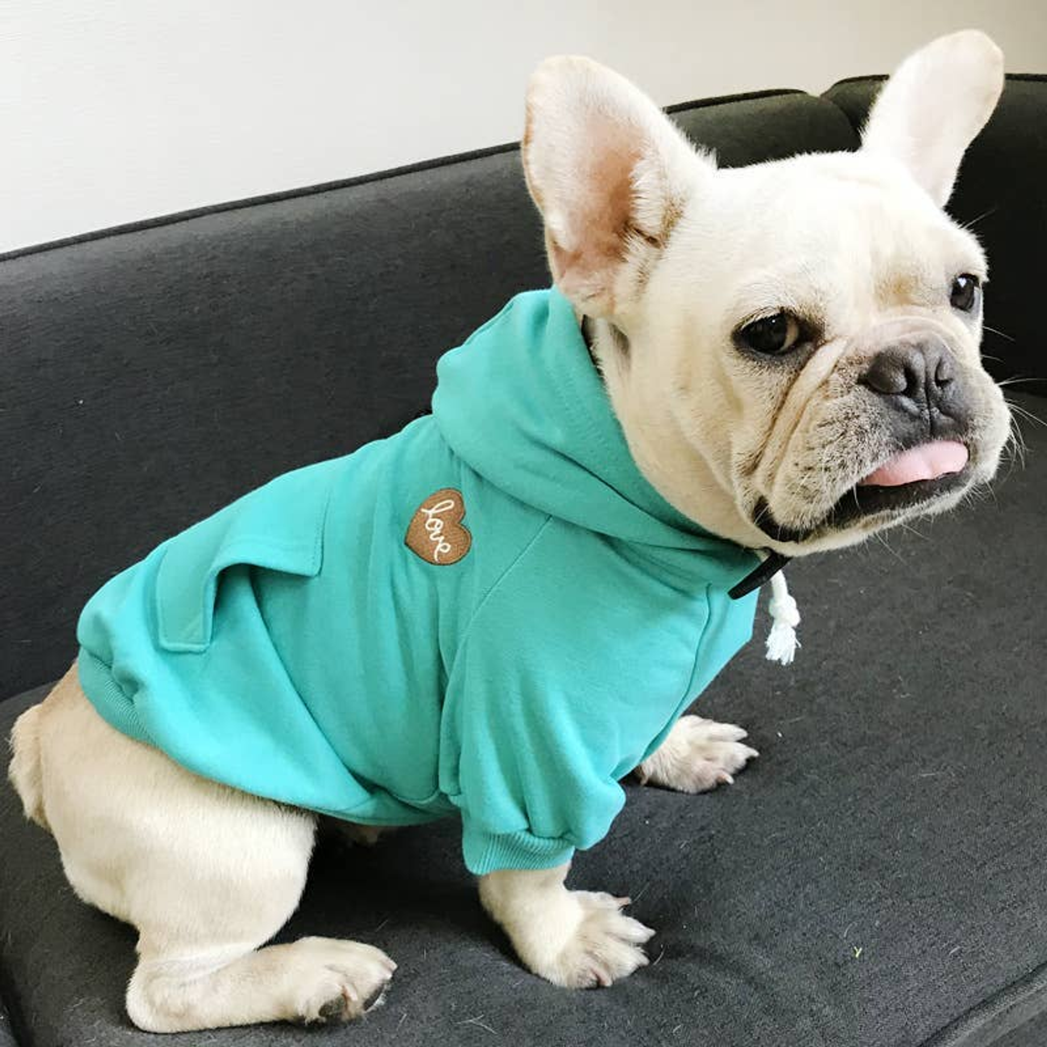 Matching Pet and Owner Clothing Set | Hoodie Image 1