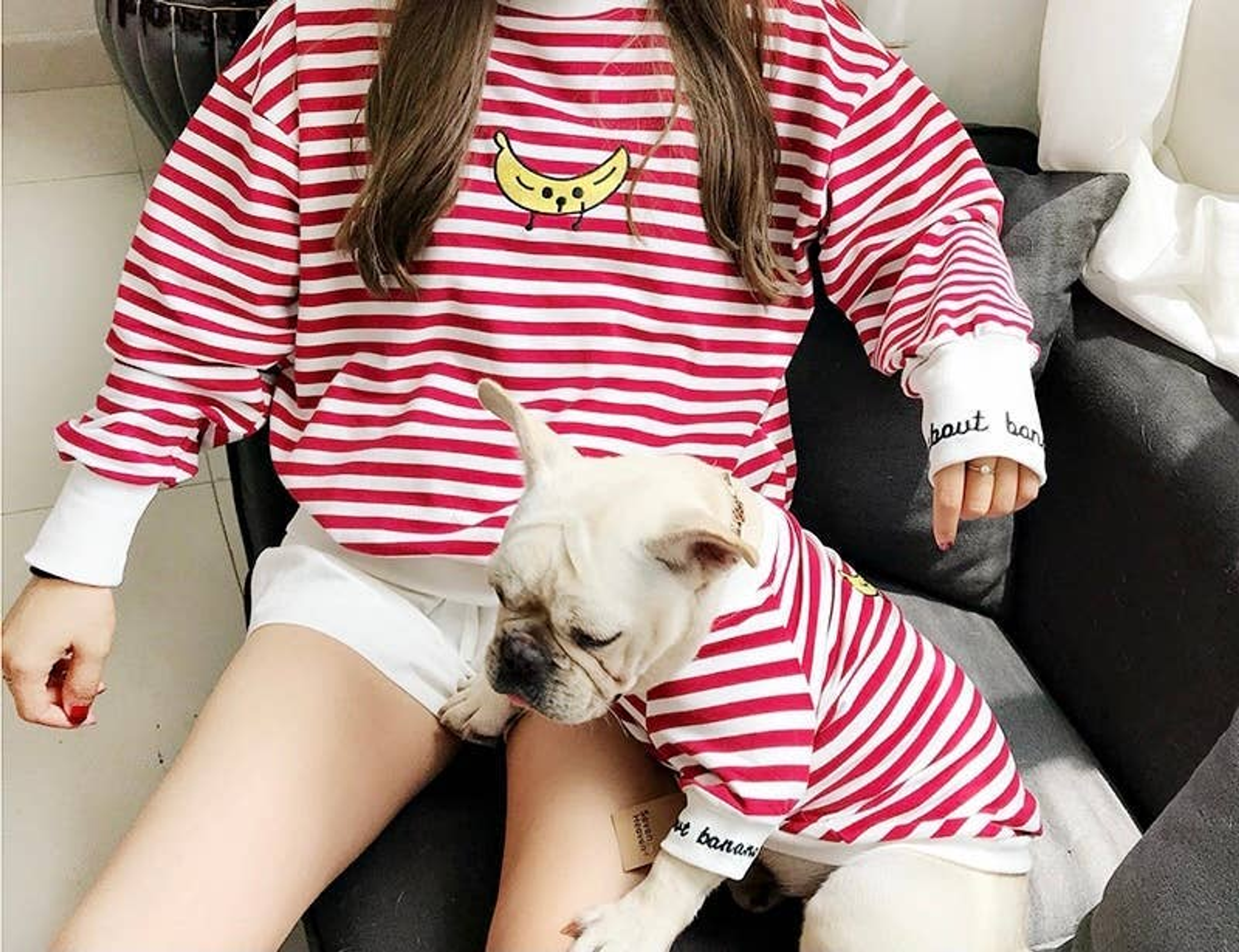 Stripe Style - Matching Pet and Owner Clothing Set Image 1