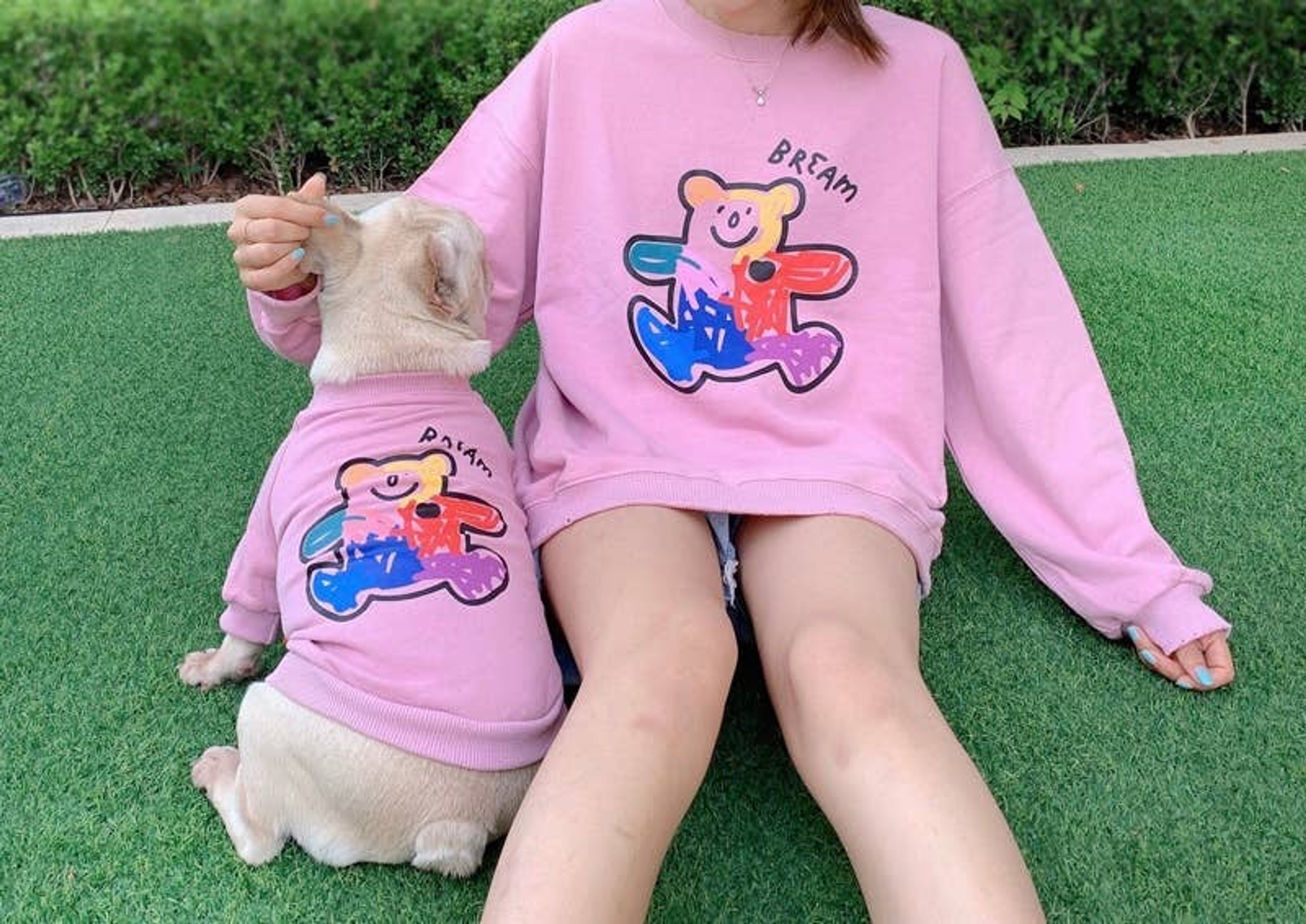 Teddy Bear - Matching Pet and Owner Clothing Set Image 1