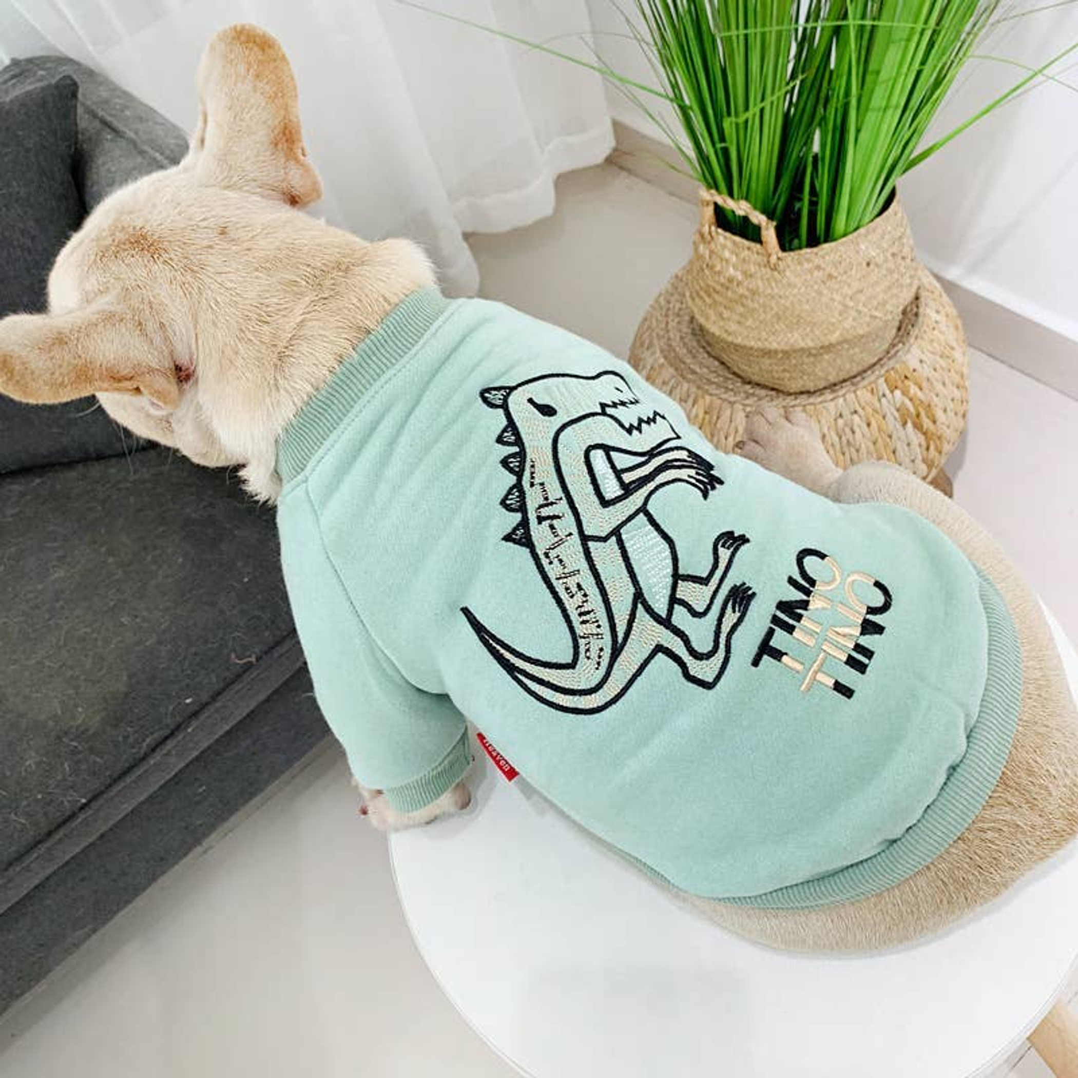 Dinosaur Love - Matching Pet and Owner Clothing Set Image 1