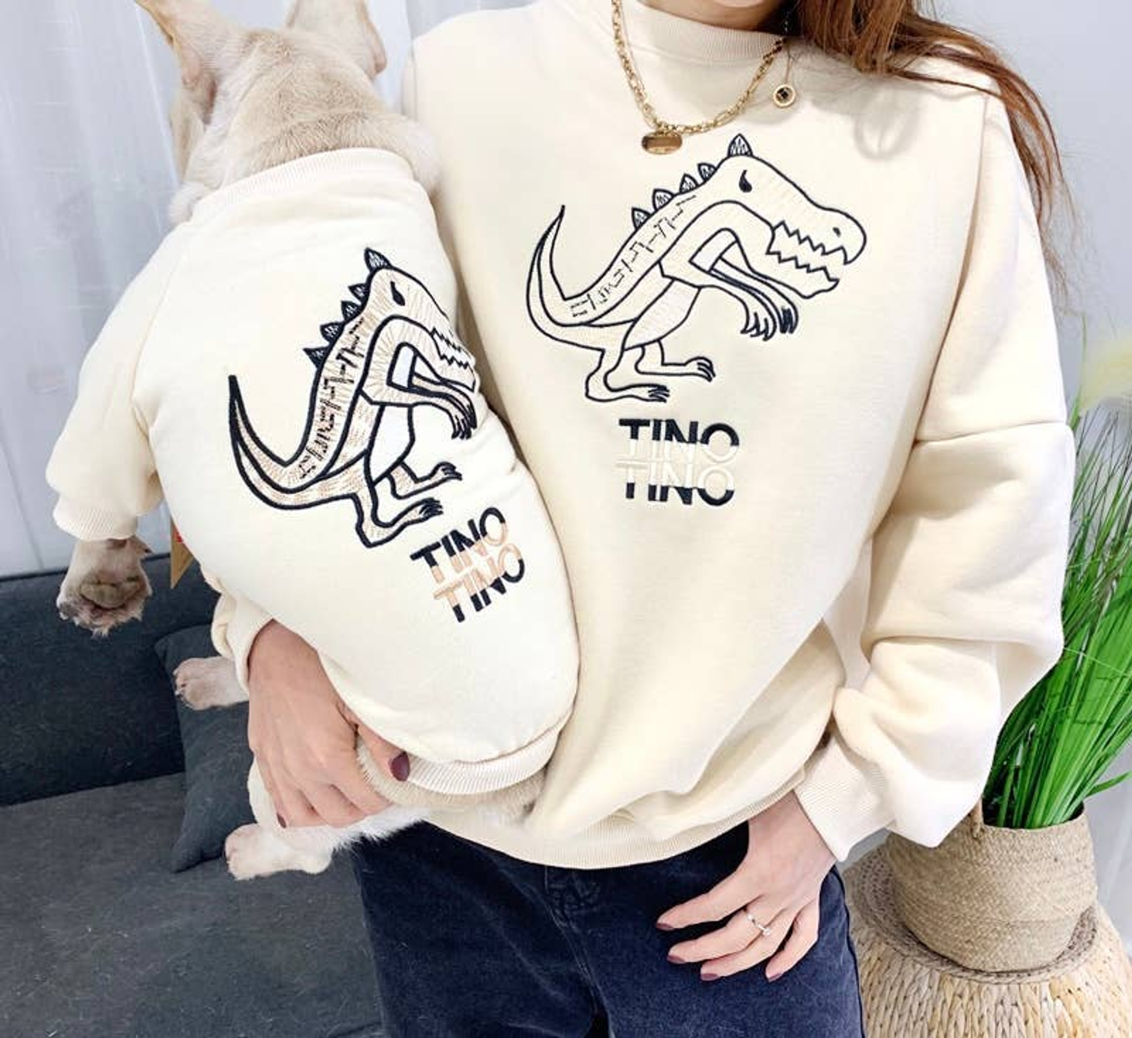 Dinosaur Love - Matching Pet and Owner Clothing Set Image 1