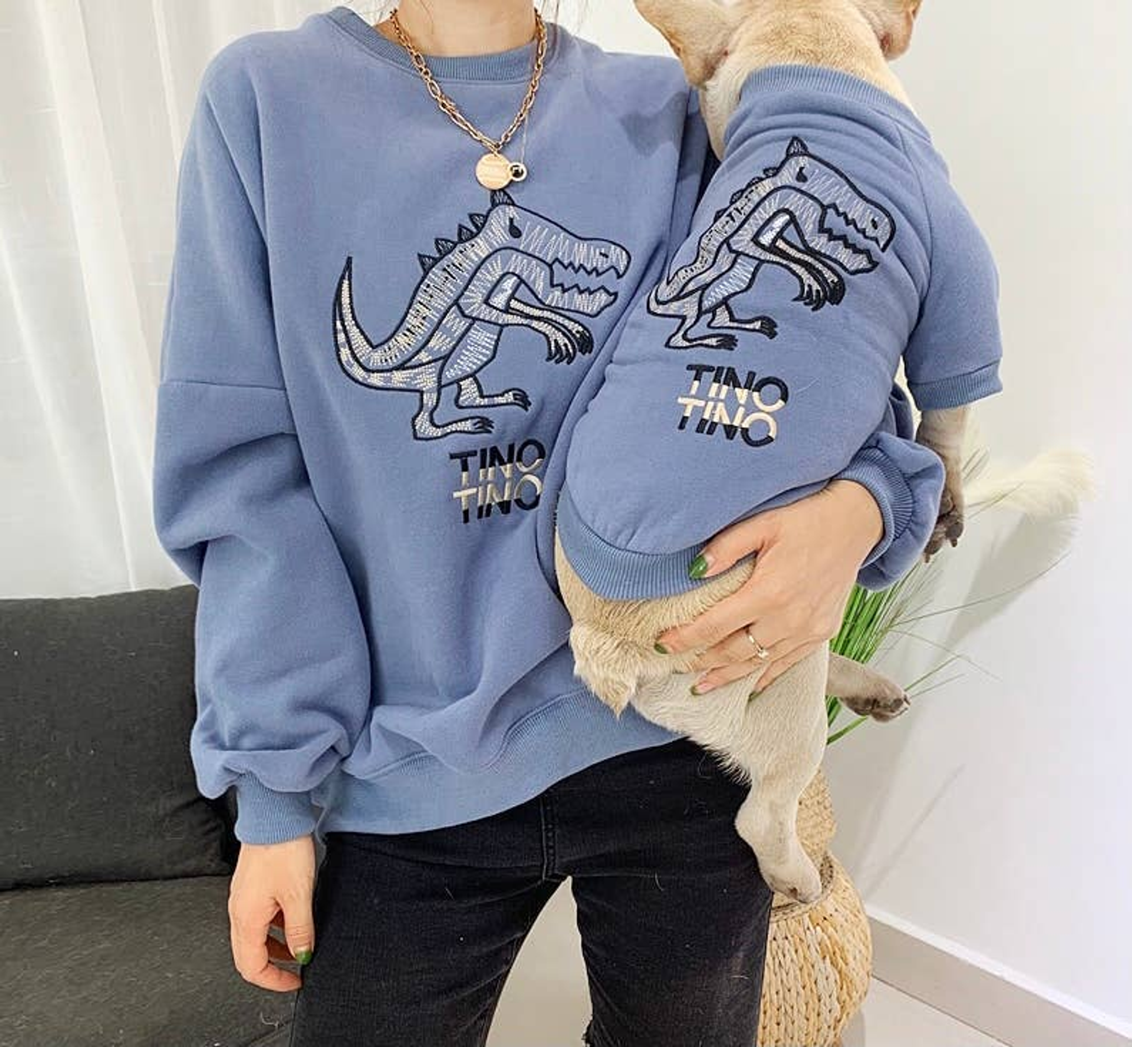 Dinosaur Love - Matching Pet and Owner Clothing Set Image 1