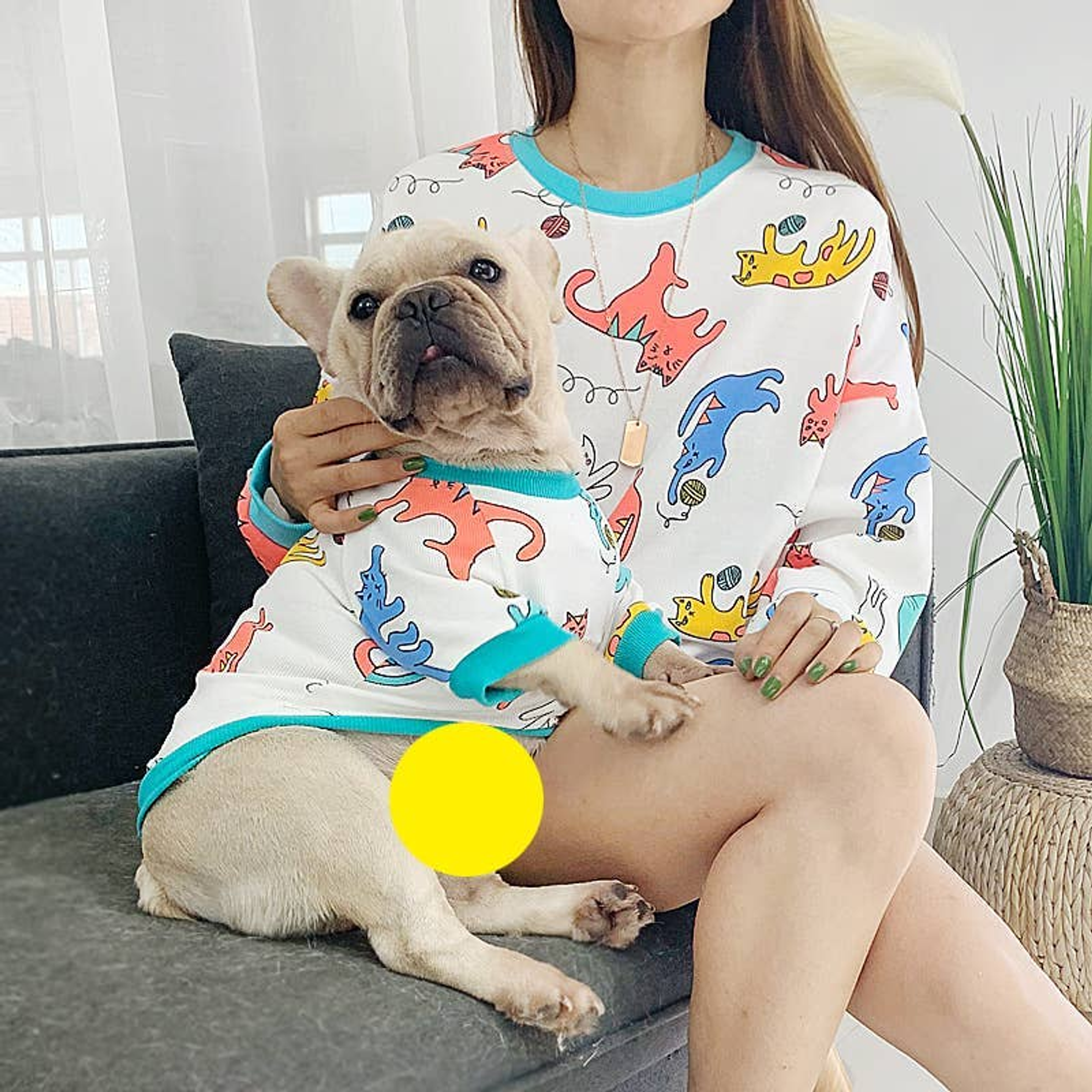 Little Dinosaur - Matching Pet and Owner Clothing Set Image 1