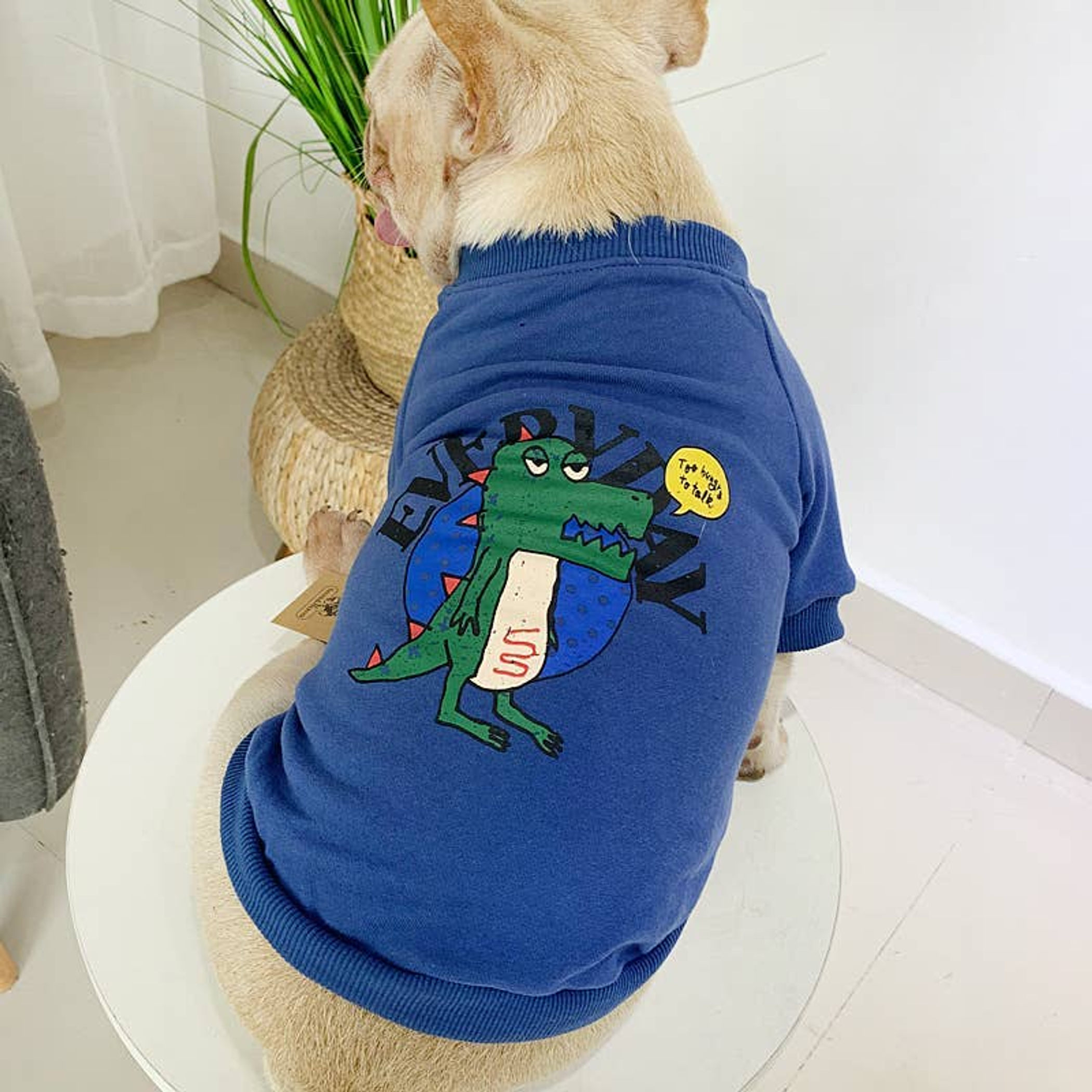 Everyday Dinosaur - Matching Pet and Owner Clothing Set Image 1