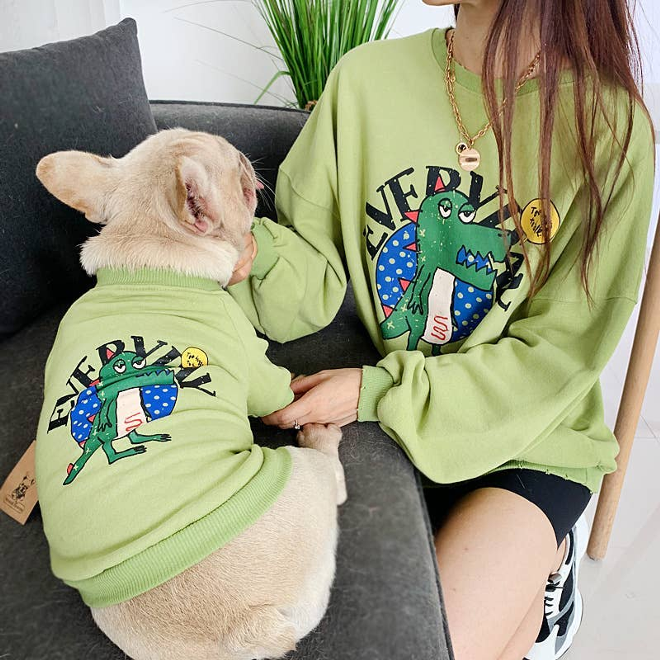 Everyday Dinosaur - Matching Pet and Owner Clothing Set Image 1