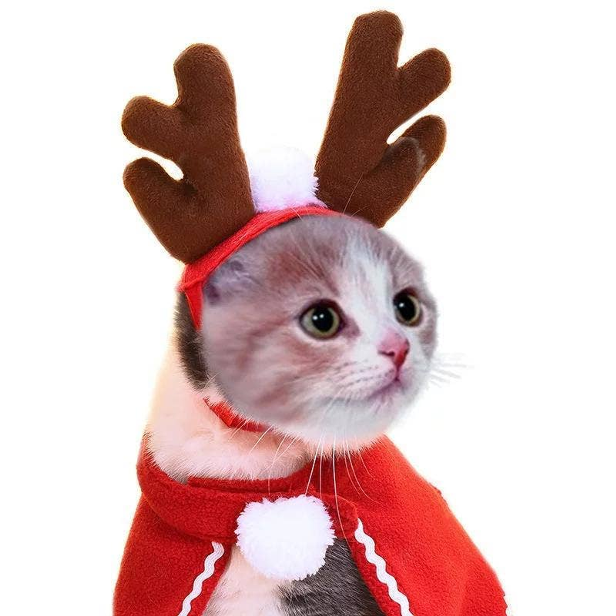 Merry Christmas Cloak for pets Image 1