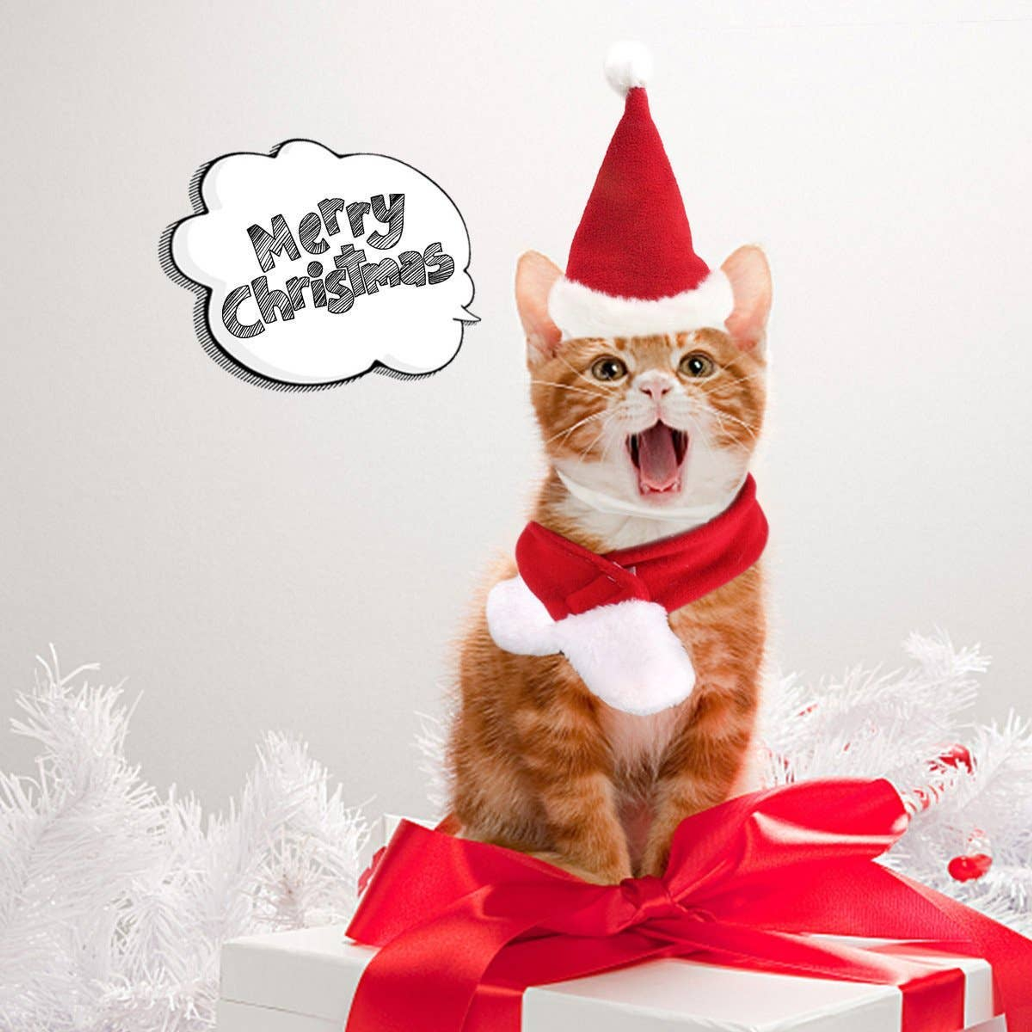 Merry Christmas Elf Hat and Christmas Scarf Image 1