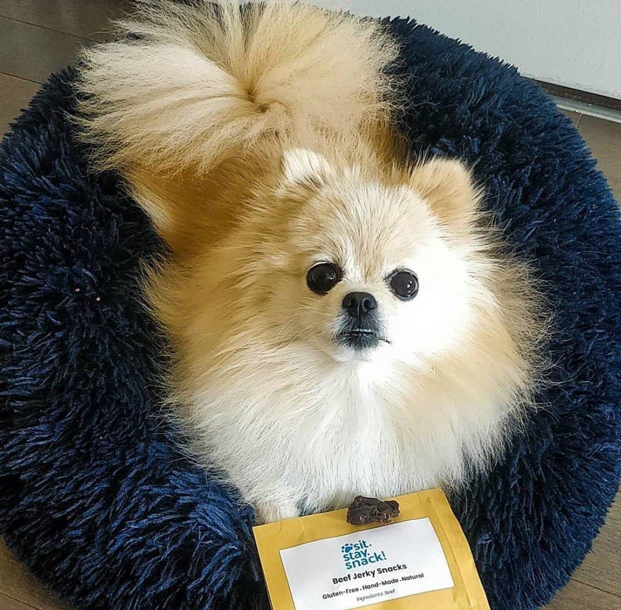 Marshmallow Pets Bed Image 1